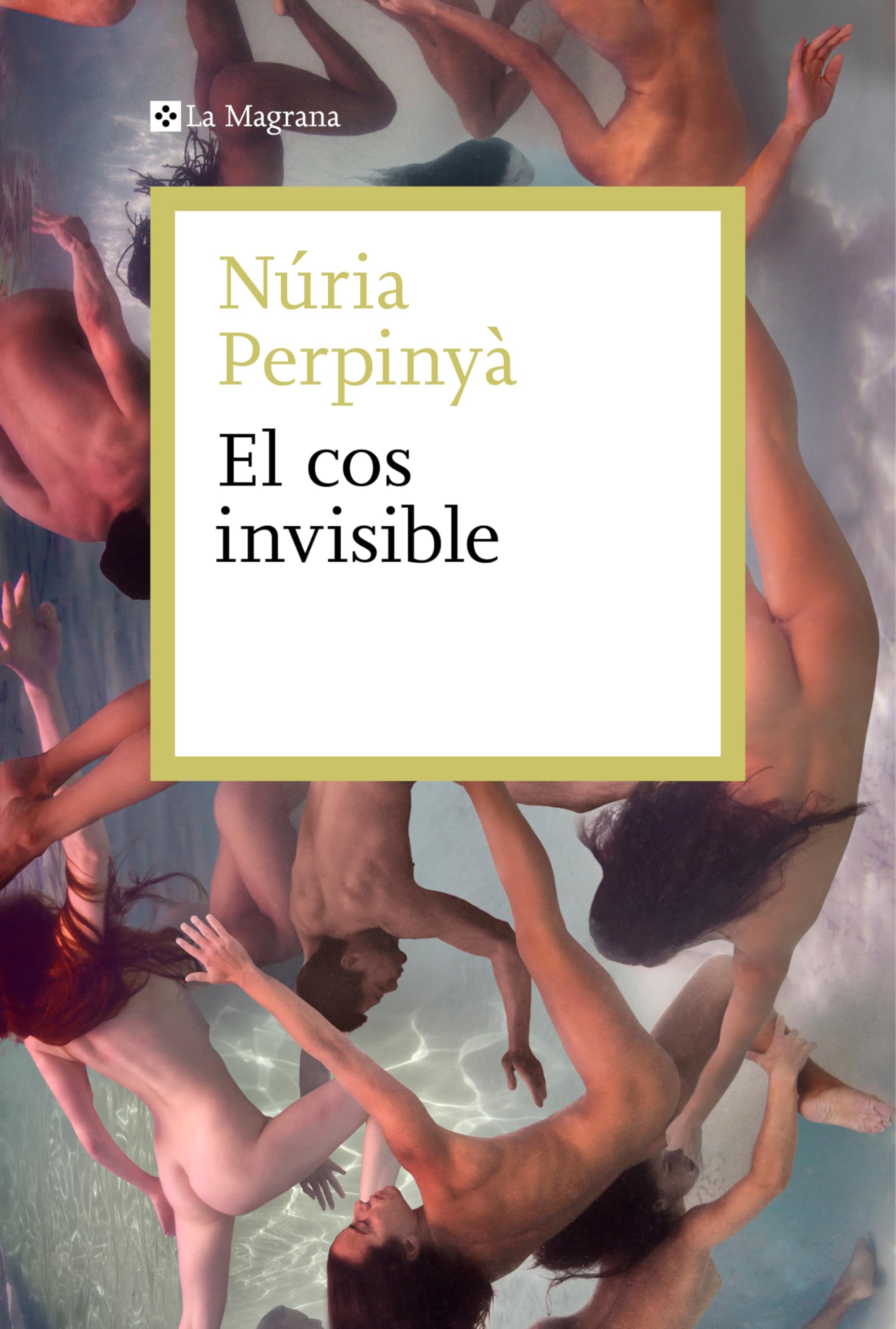 El cos invisible Contemporary literature Books