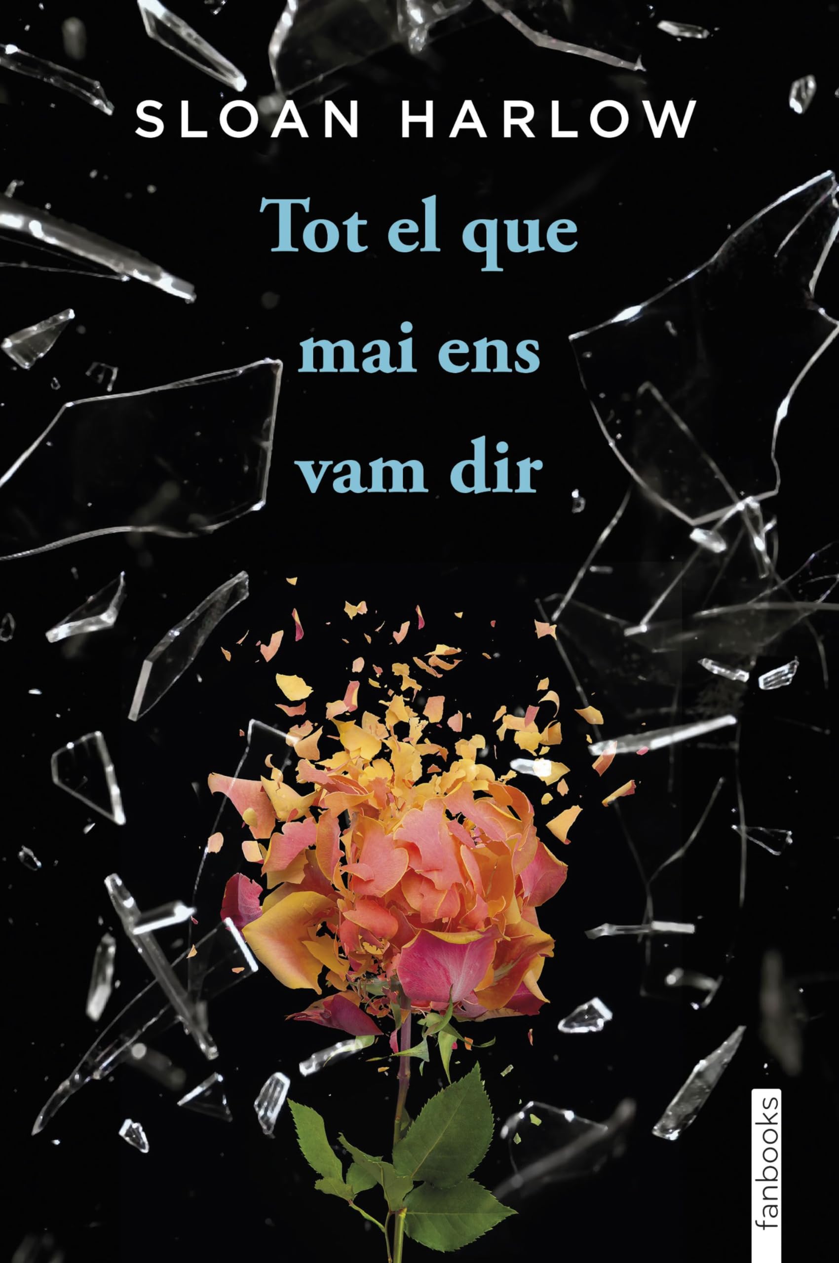Tot el que mai ens vam dir (Thrillers) Fiction