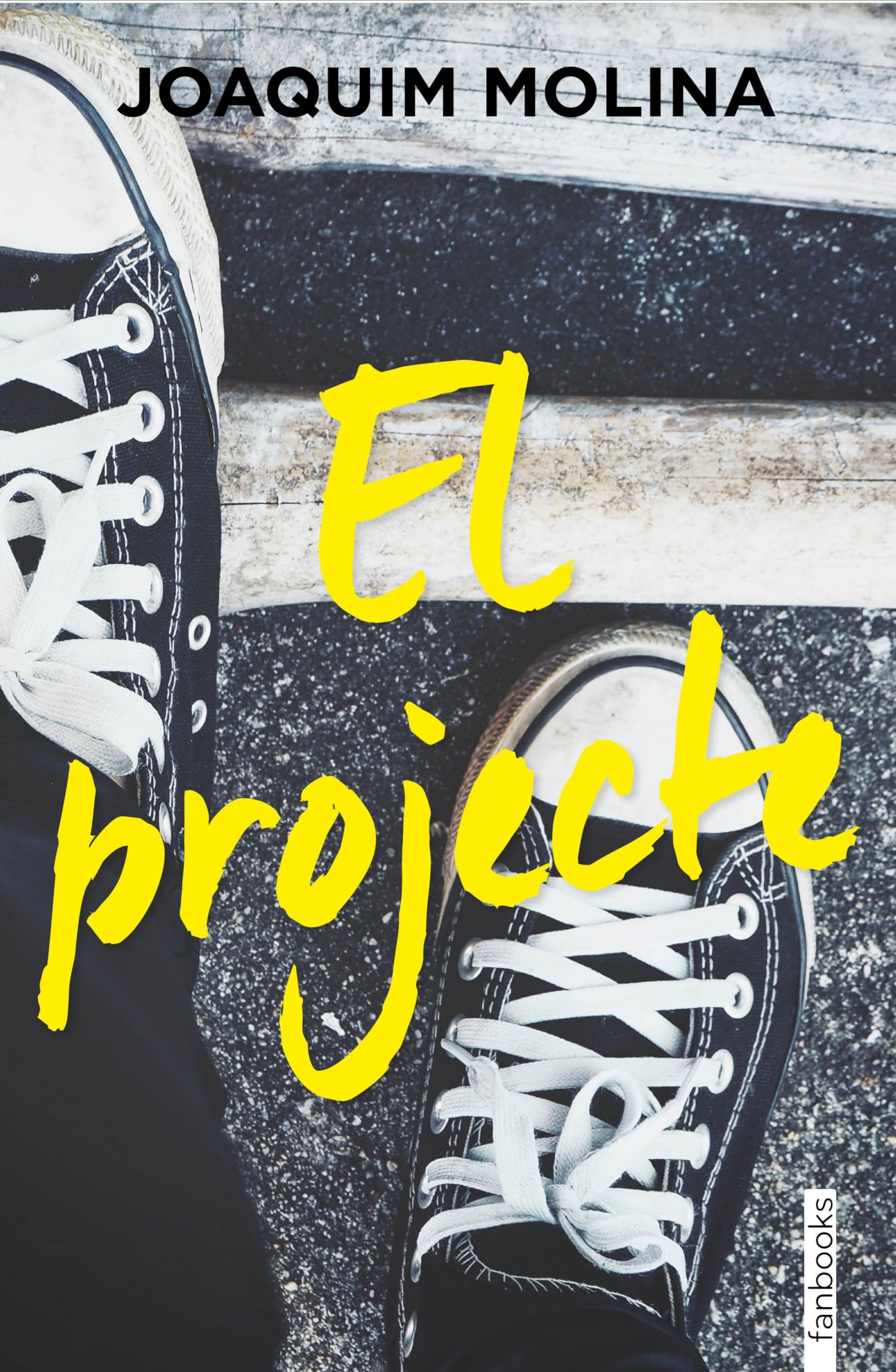 El projecte (Ficció contemporània) Books