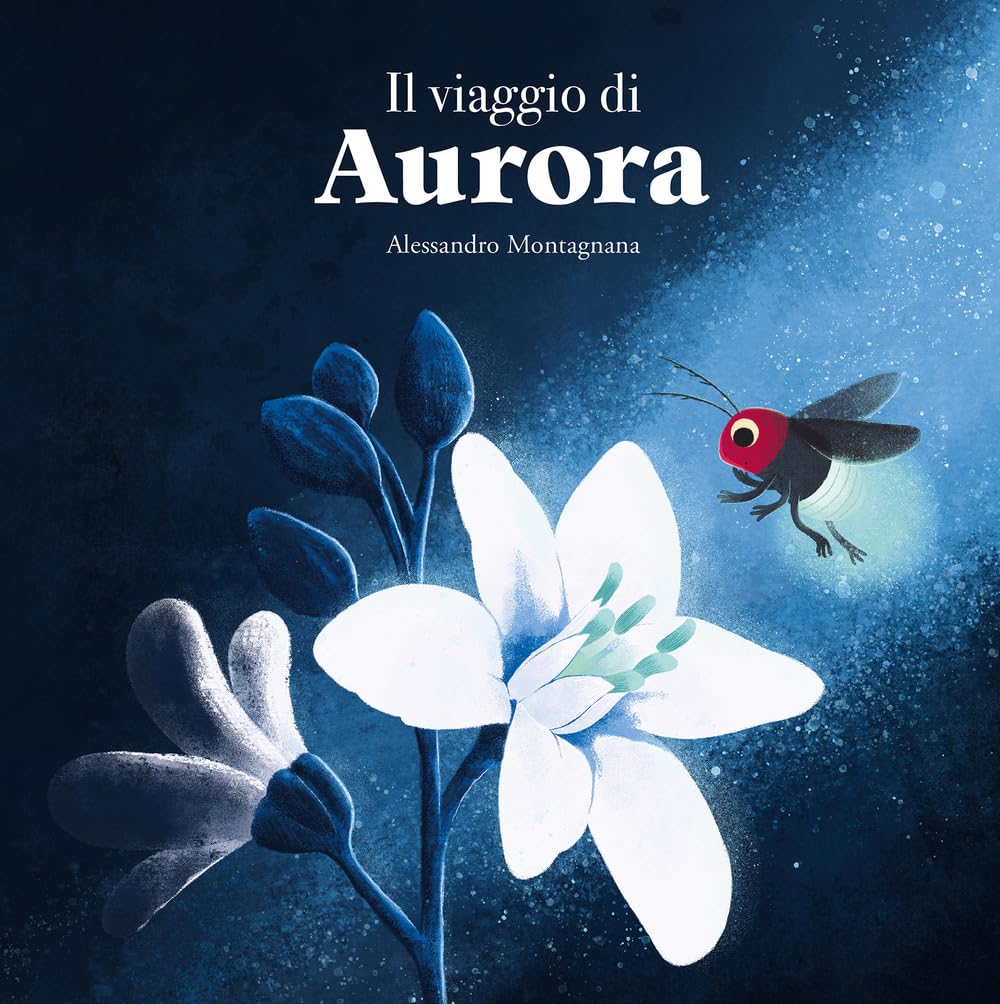 Il viaggio di Aurora. Ediz. illustrata book