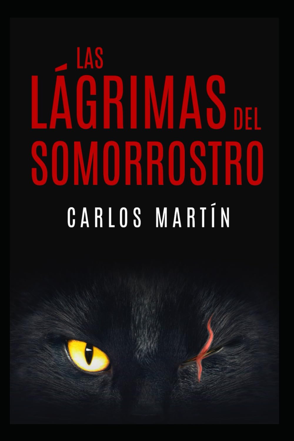 Las lágrimas del Somorrostro book