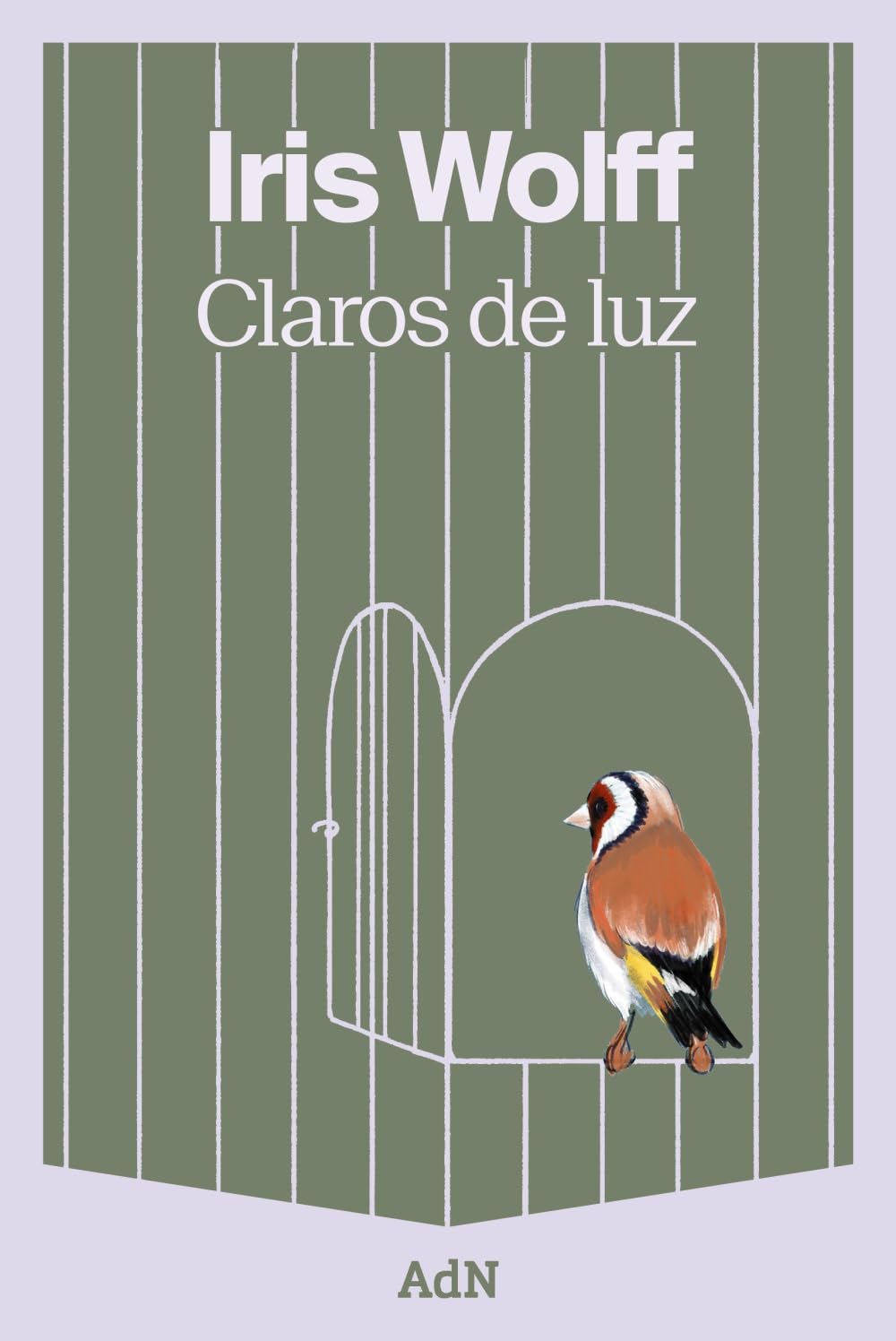 Claros de luz (AdN Editorial Grupo Anaya) Contemporary literature