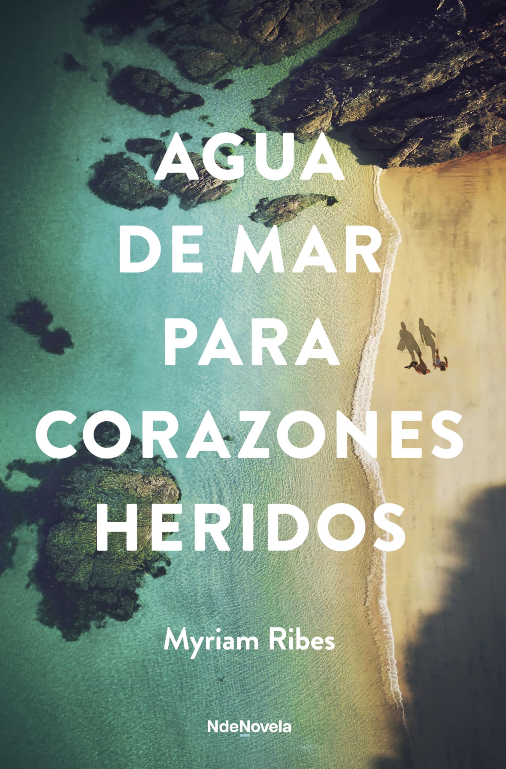 Agua de mar para corazones heridos (NdeNovela) Contemporary literature