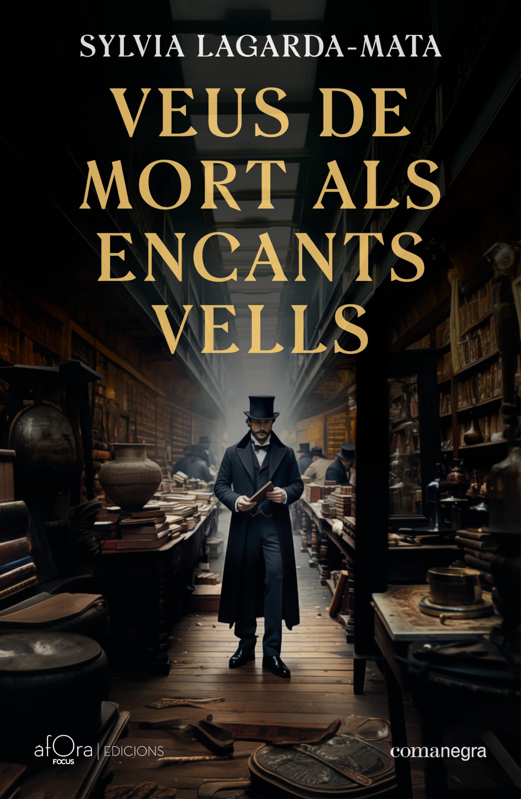 Veus de mort als Encants Vells (butxaca): Premi Santa Eulàlia de novel·la de Barcelona 2024 book