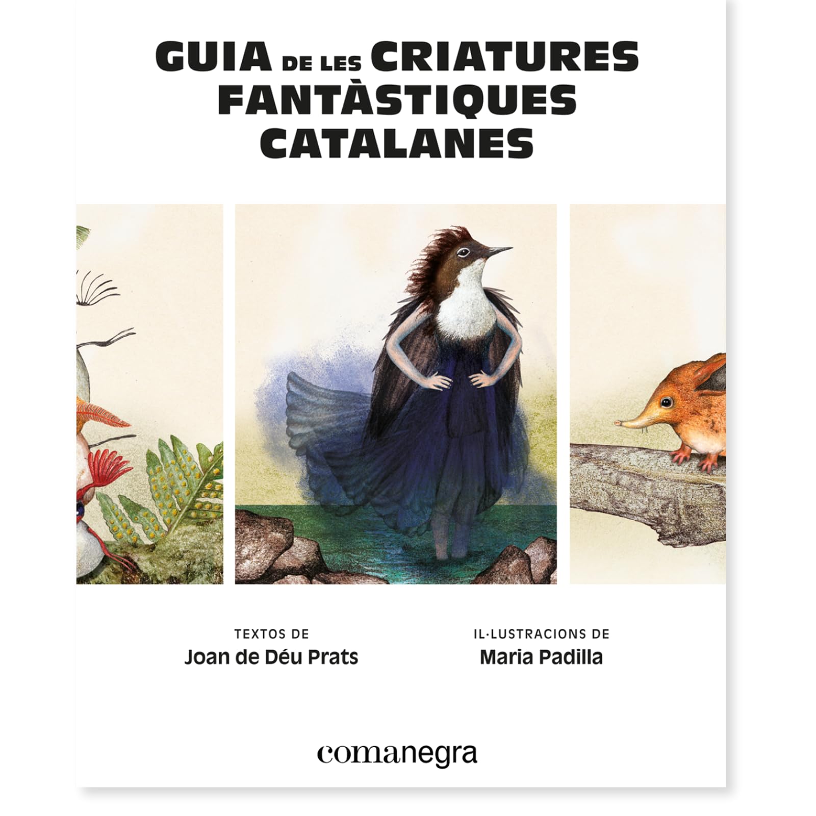 Guia de les criatures fantàstiques catalanes (Catalunya fantàstica) Books