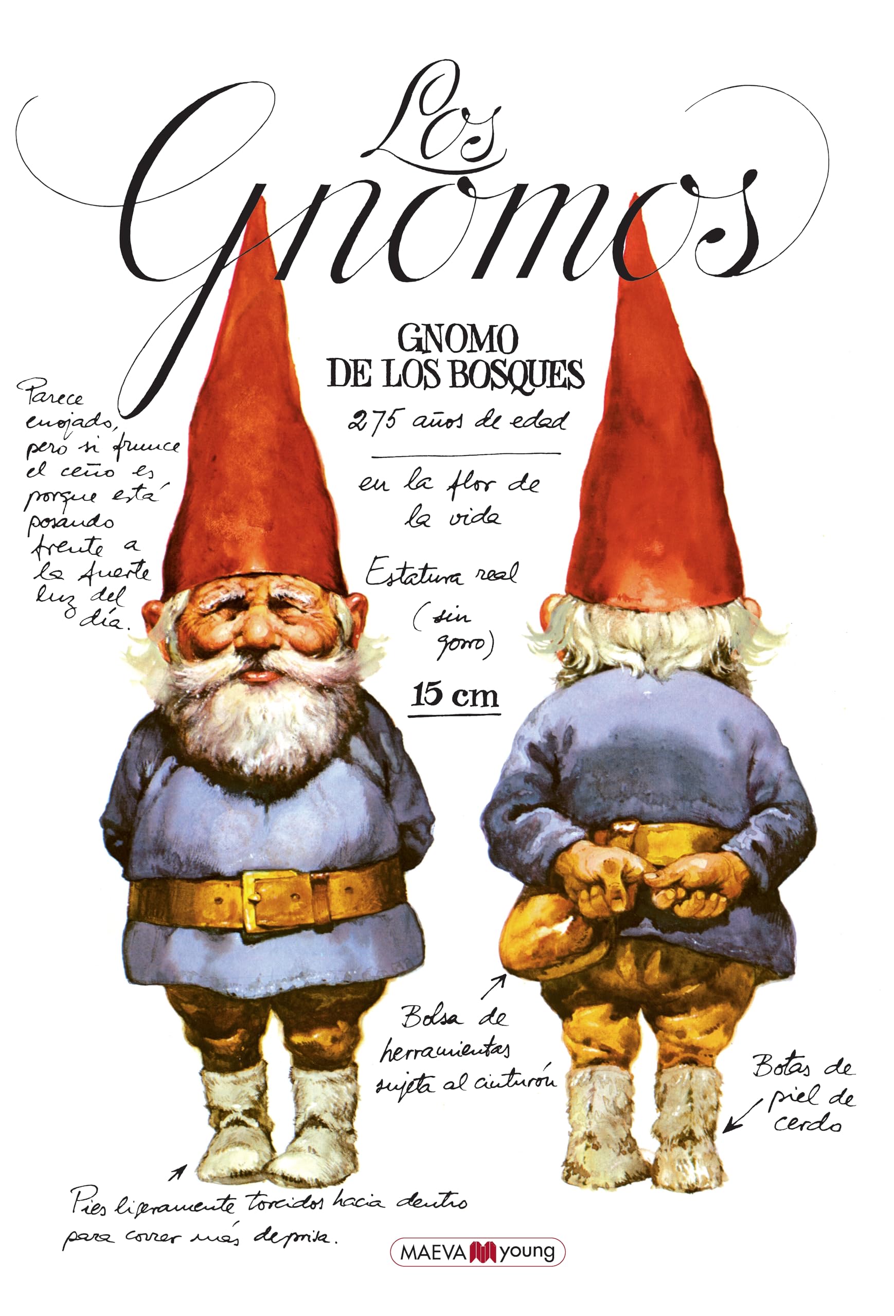 Los gnomos (Libros para los que aman los libros) Non-fiction