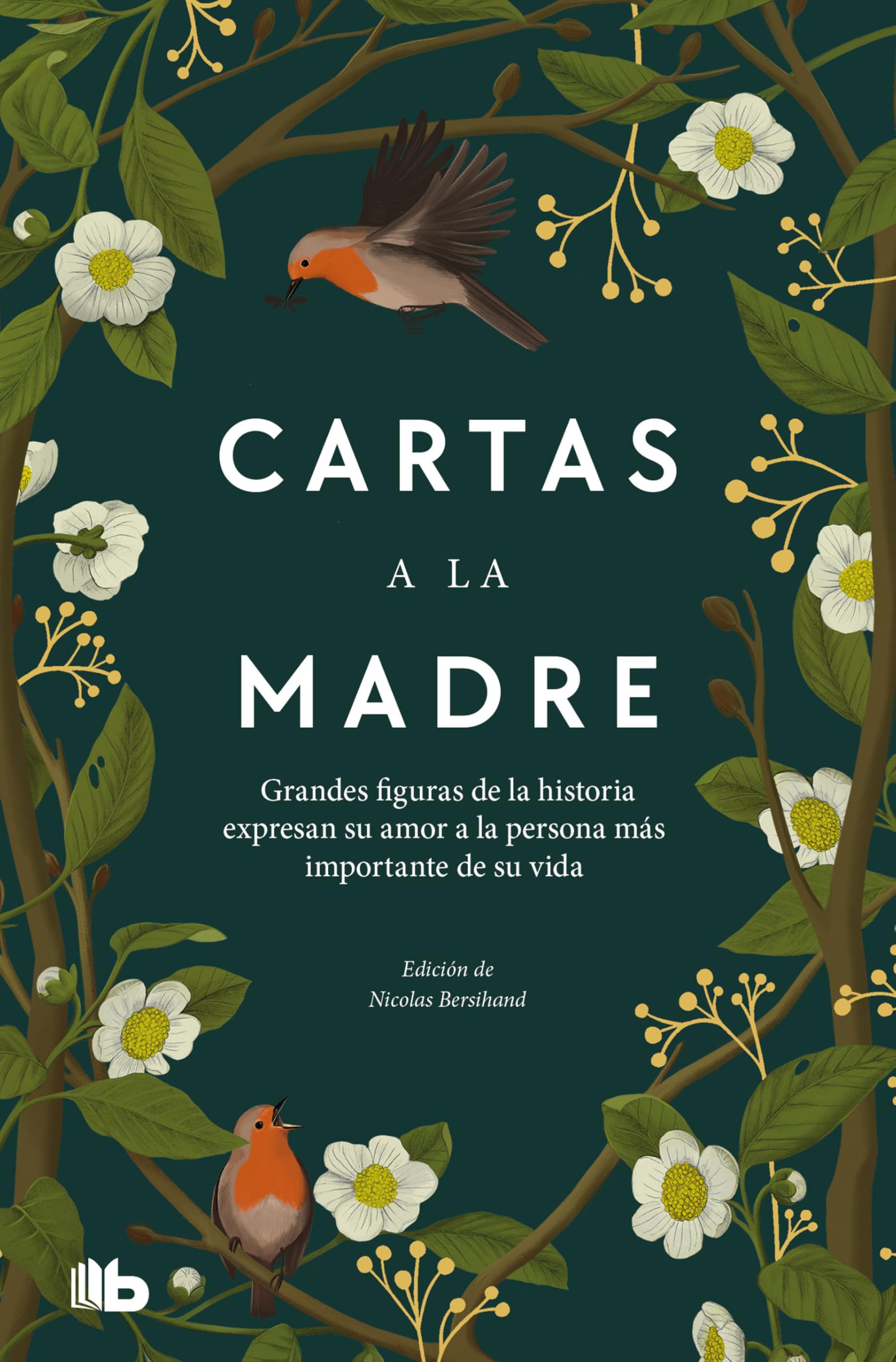 Cartas a la madre / Letters to Mom book