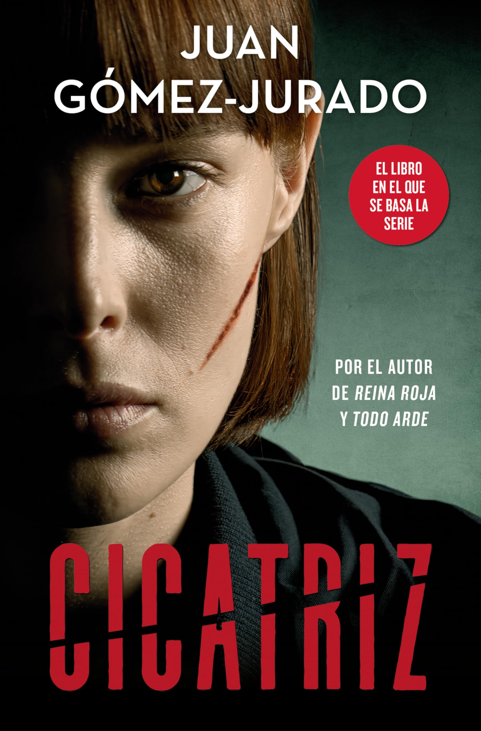 Cicatriz: El libro en que se basa la serie de RTVE y Prime Video book