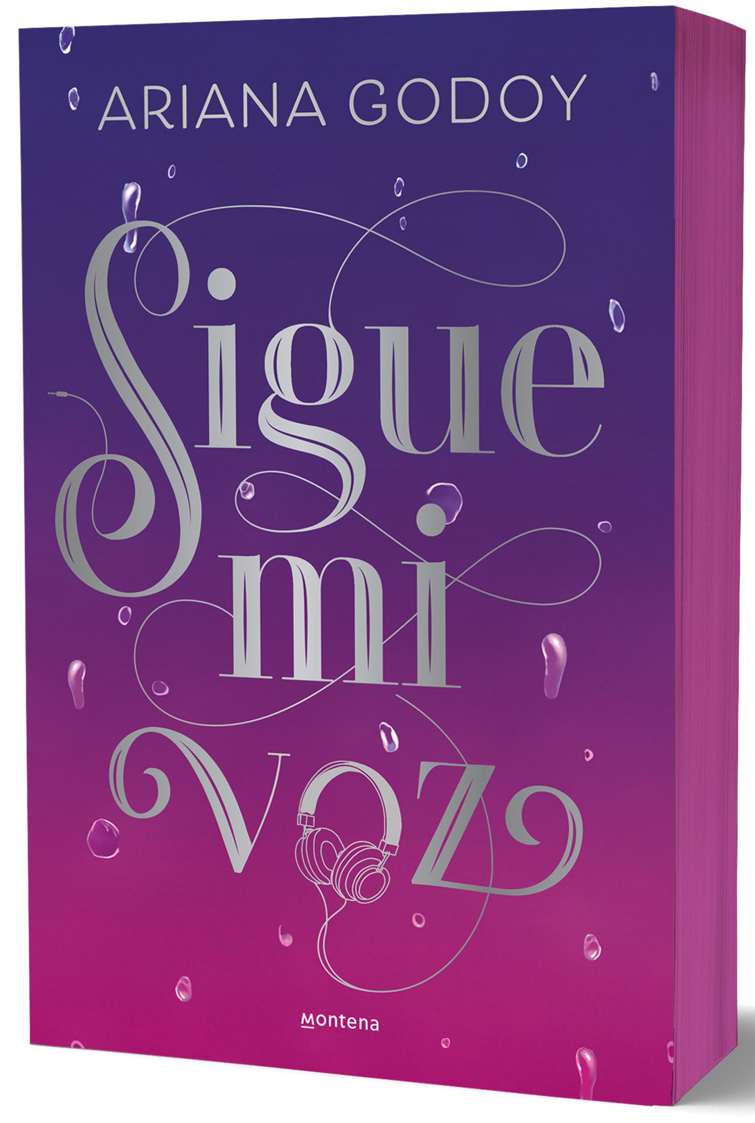 Sigue mi voz / Follow My Voice book