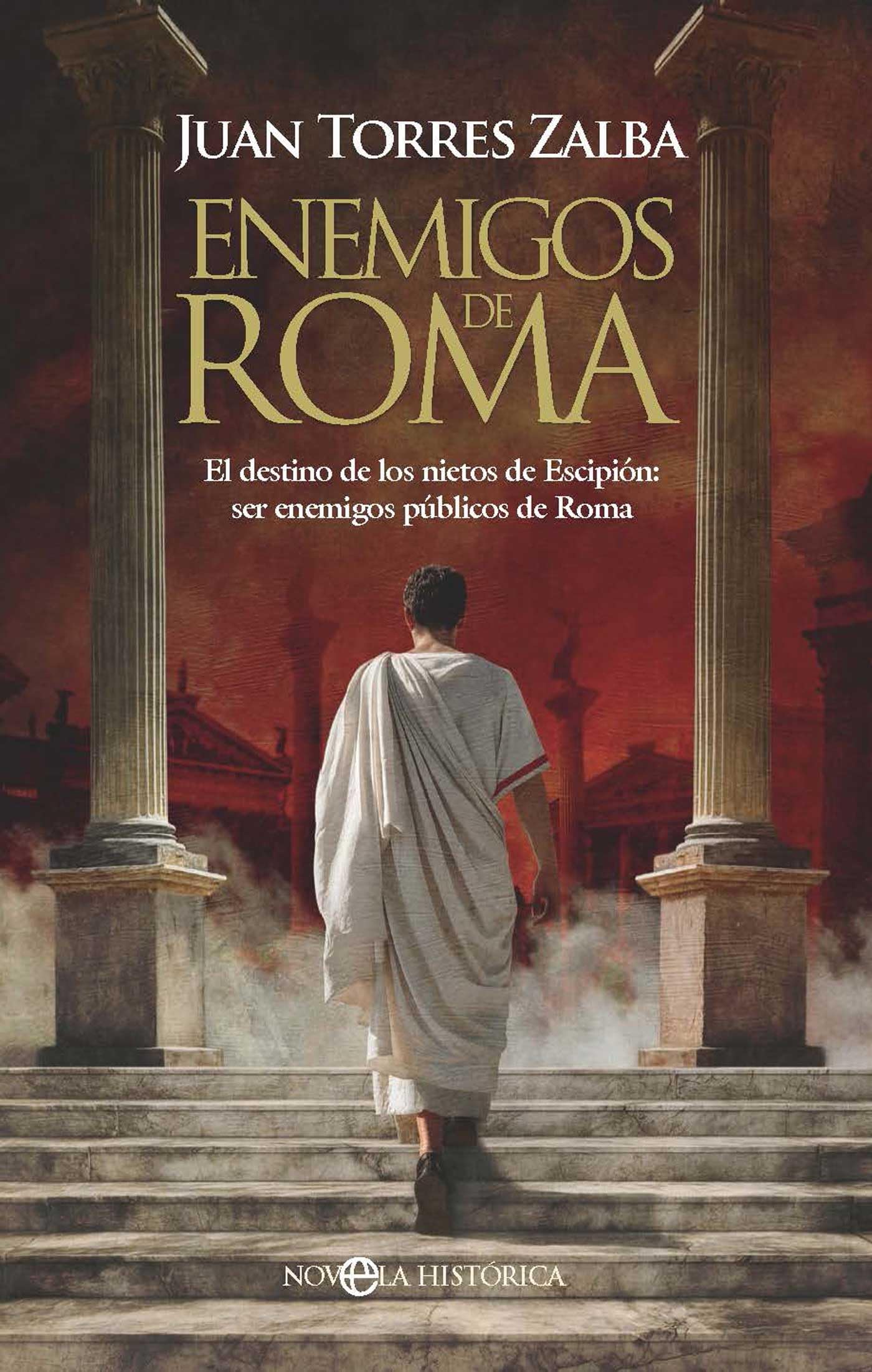 Enemigos de Roma: El destino de los nietos de Escipión: ser enemigos públicos de Roma book
