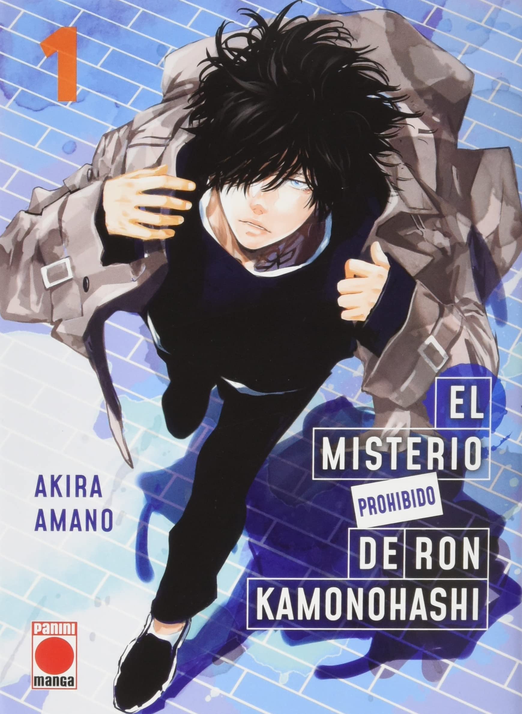 El misterio prohibido de ron kamonohashi n.1 (cover alt) book