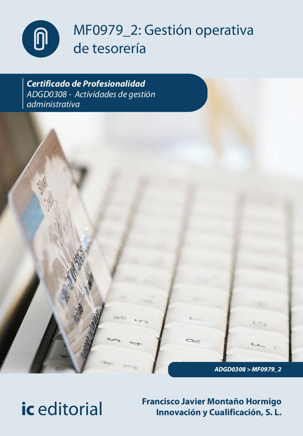 Gestión operativa de tesorería. ADGD0308 - Actividades de gestión administrativa book