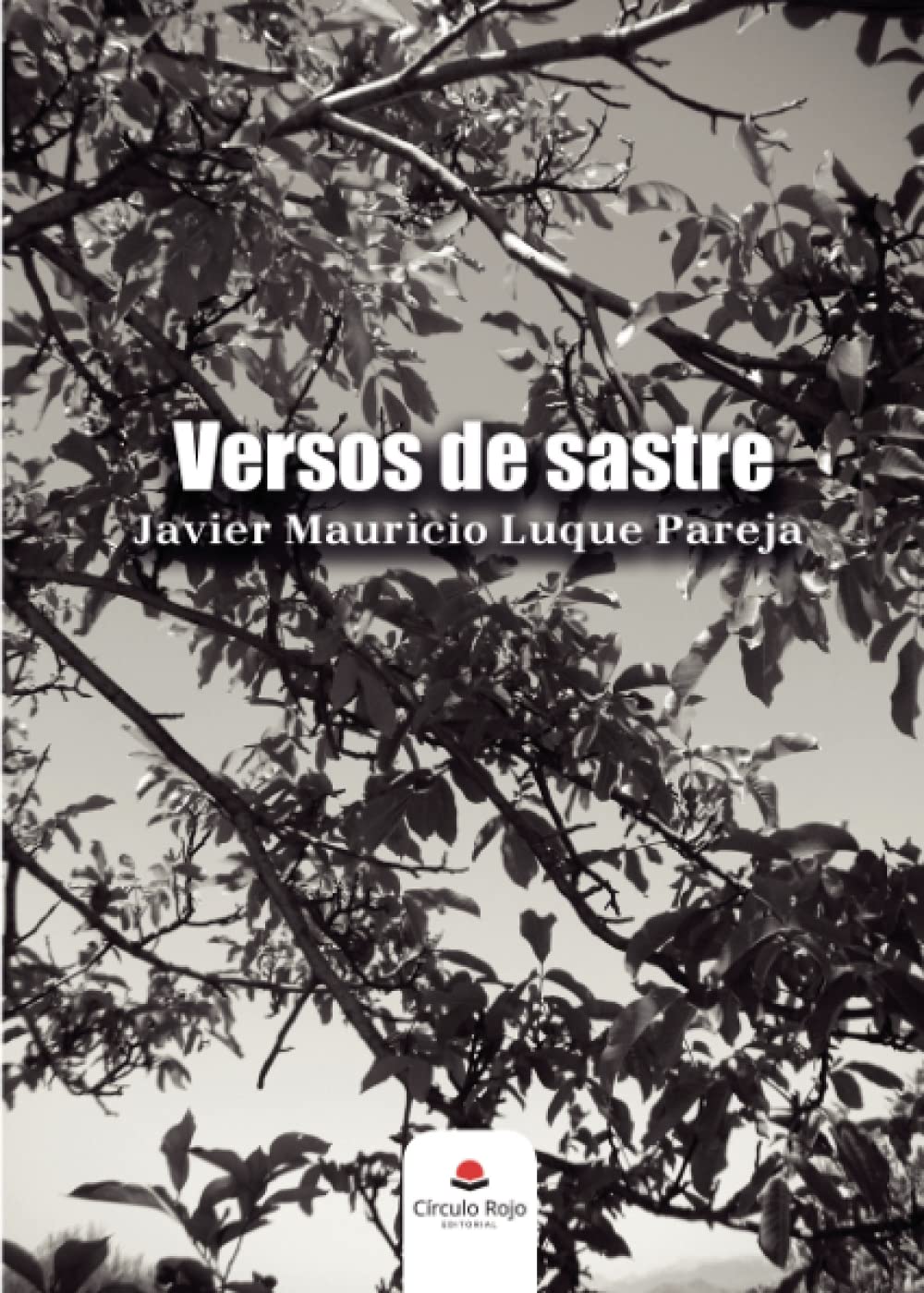 Versos de sastre book