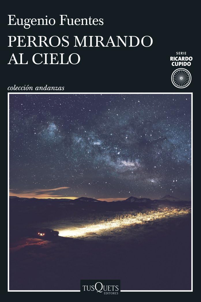 Product Image: Perros mirando al cielo