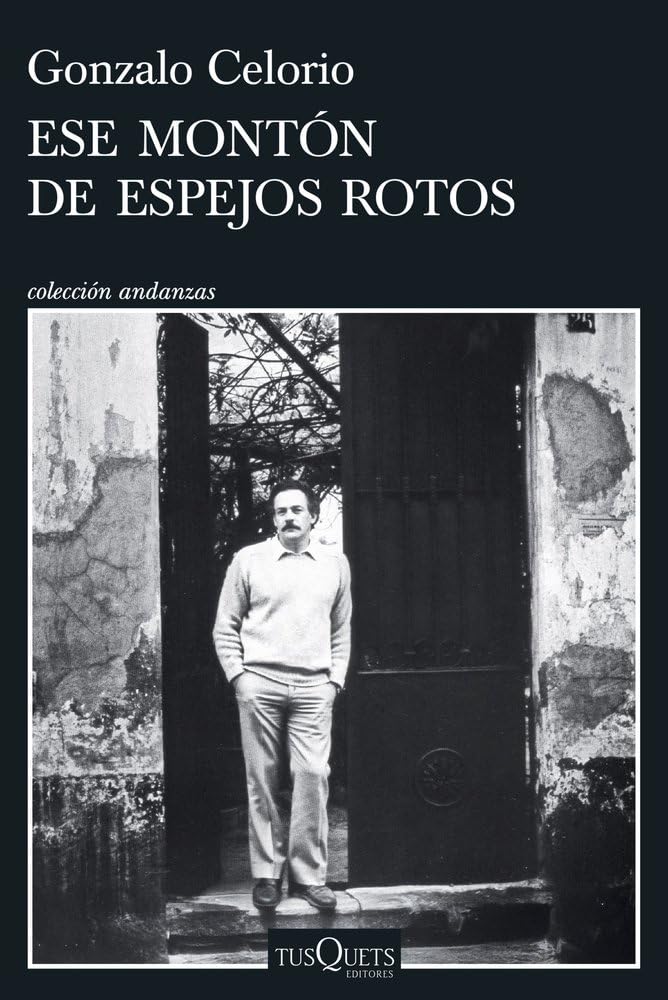 Ese montón de espejos rotos Contemporary literature