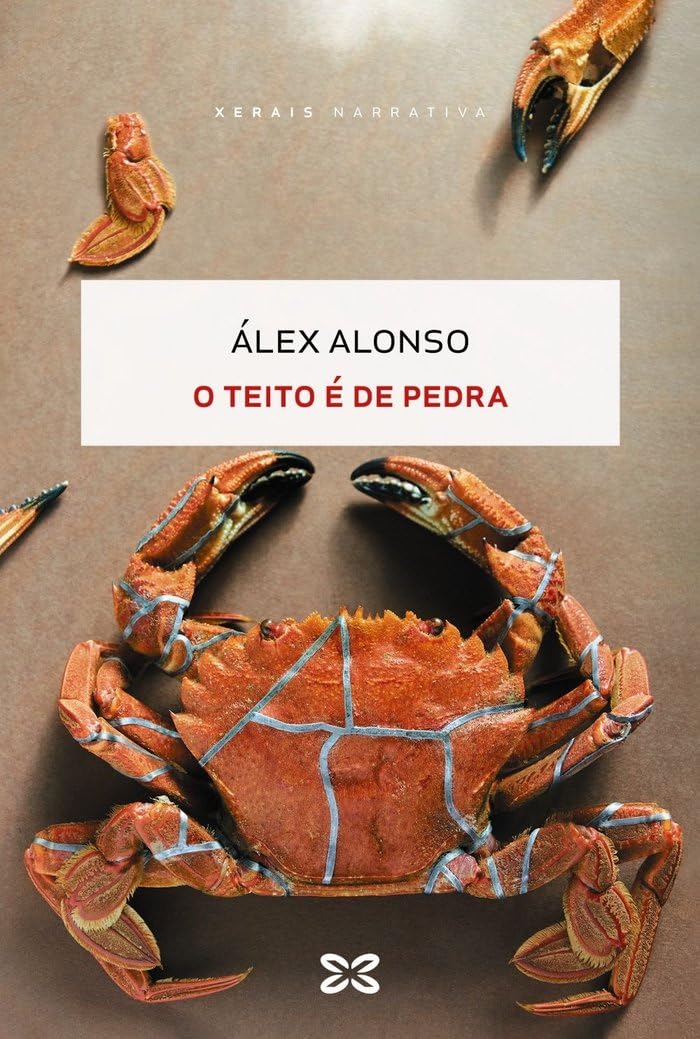 O teito é de pedra (EDICIÓN LITERARIA - NARRATIVA) Historical Fiction