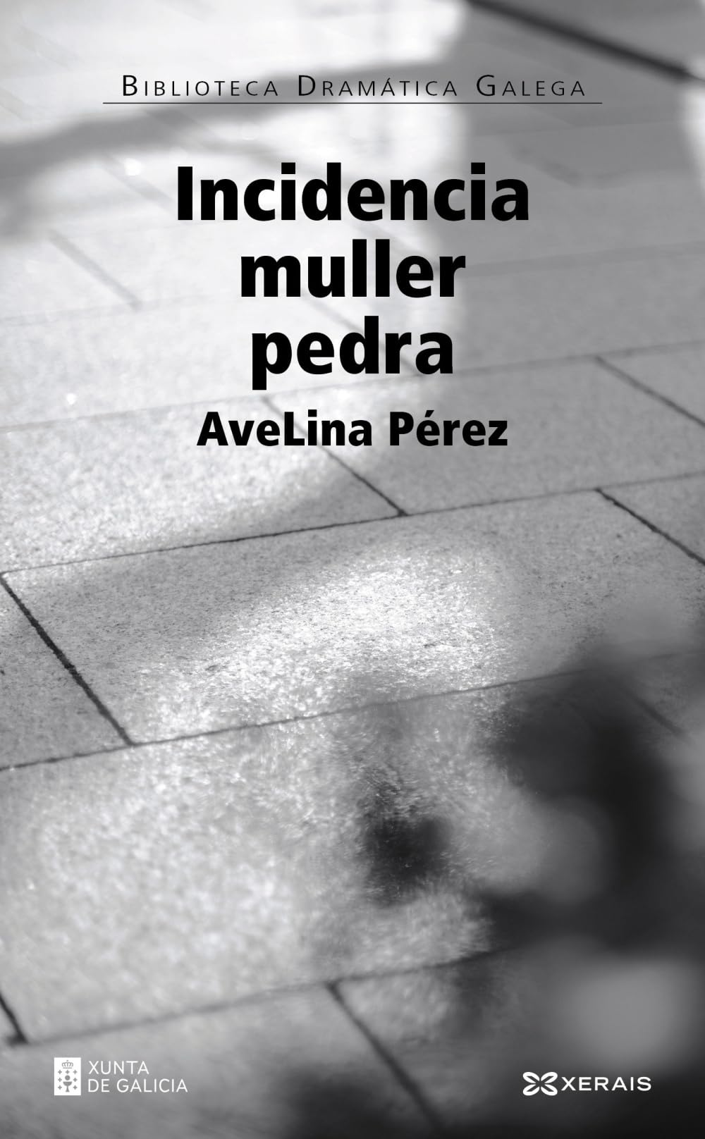 Incidencia muller pedra (EDICIÓN LITERARIA - TEATRO - Biblioteca Dramática Galega) Drama