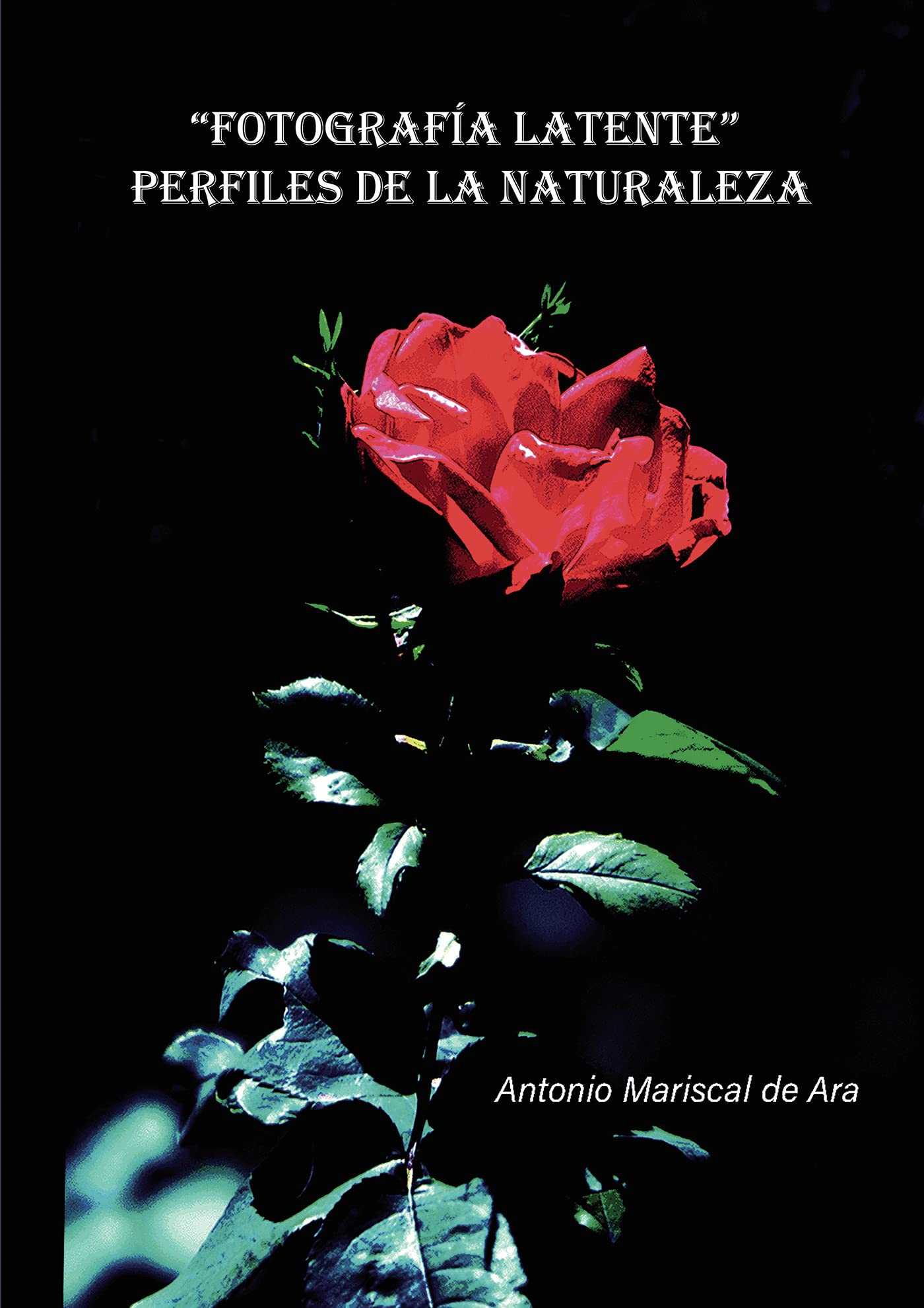 Fotografía latente Film, Art & Culture