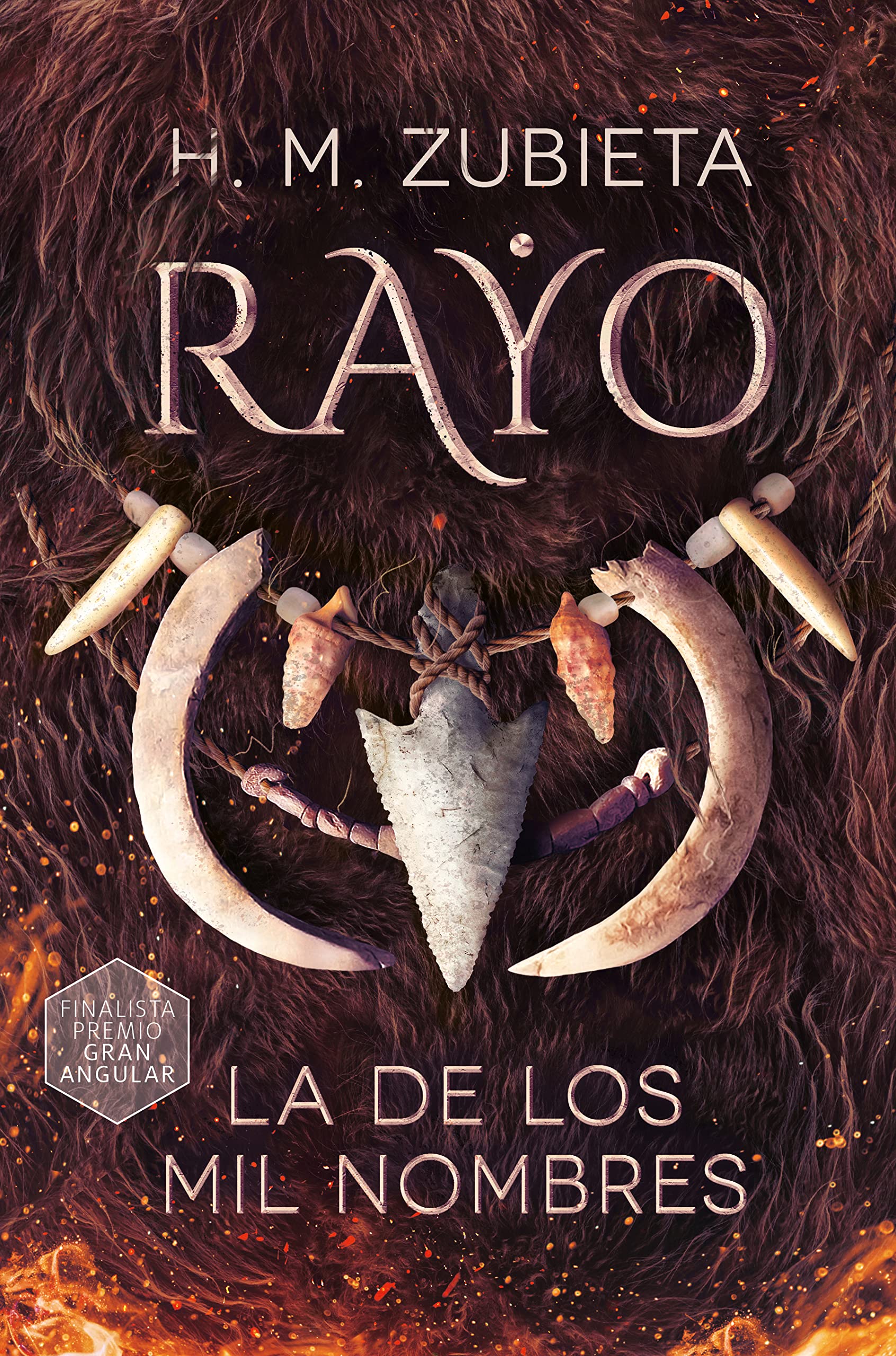 Rayo, la de los mil nombres (Gran Angular, Band 395) Education