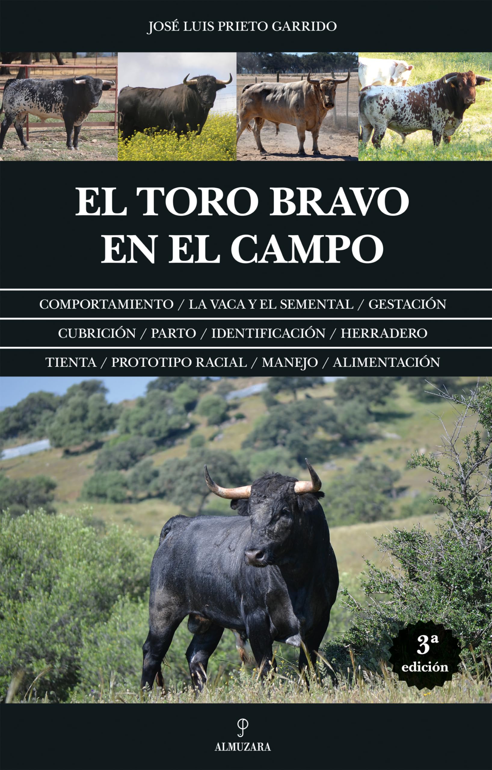 El Toro Bravo En El Campo Mathematics