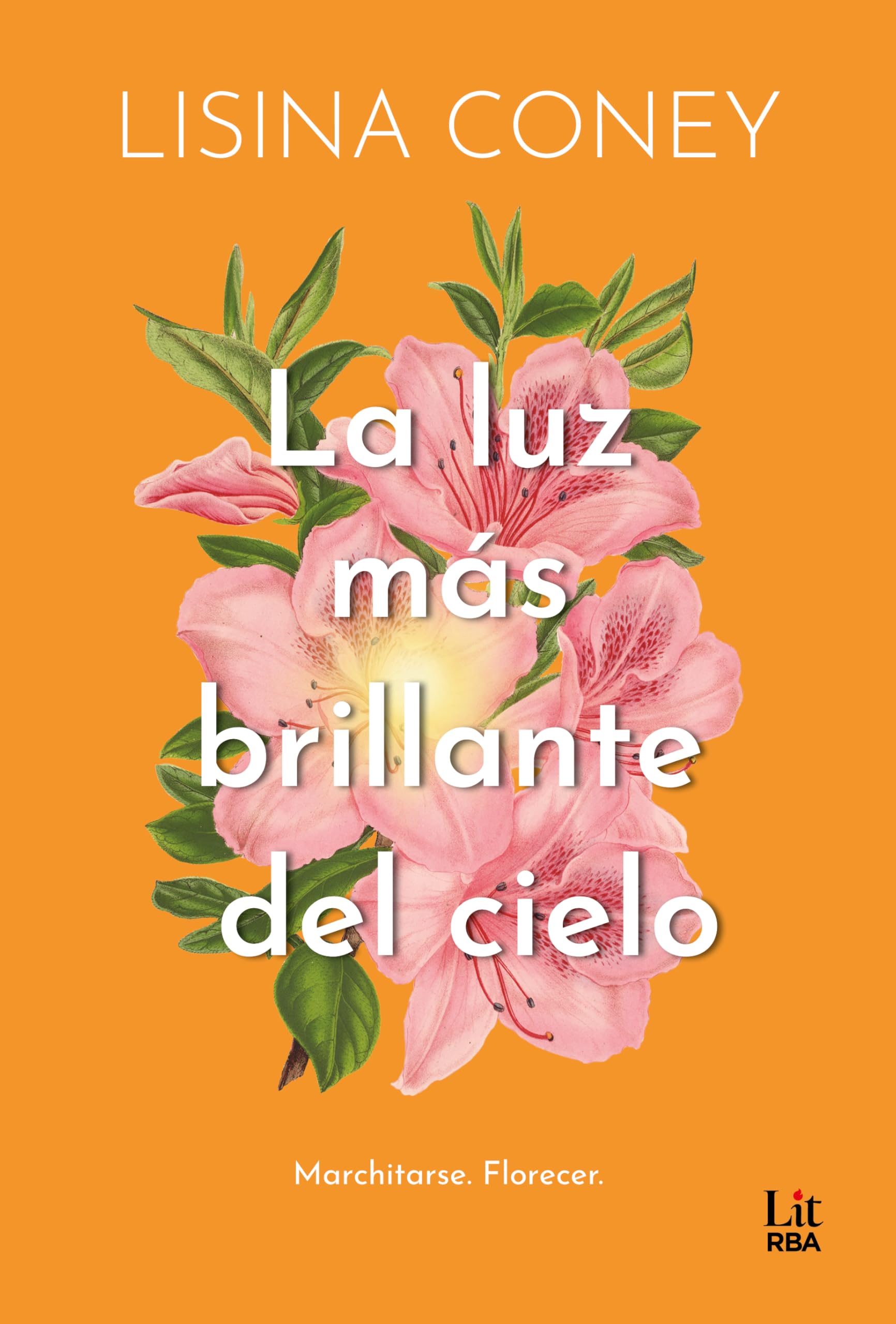 La luz más brillante del cielo (RBA Lit - Romántica) Contemporary literature