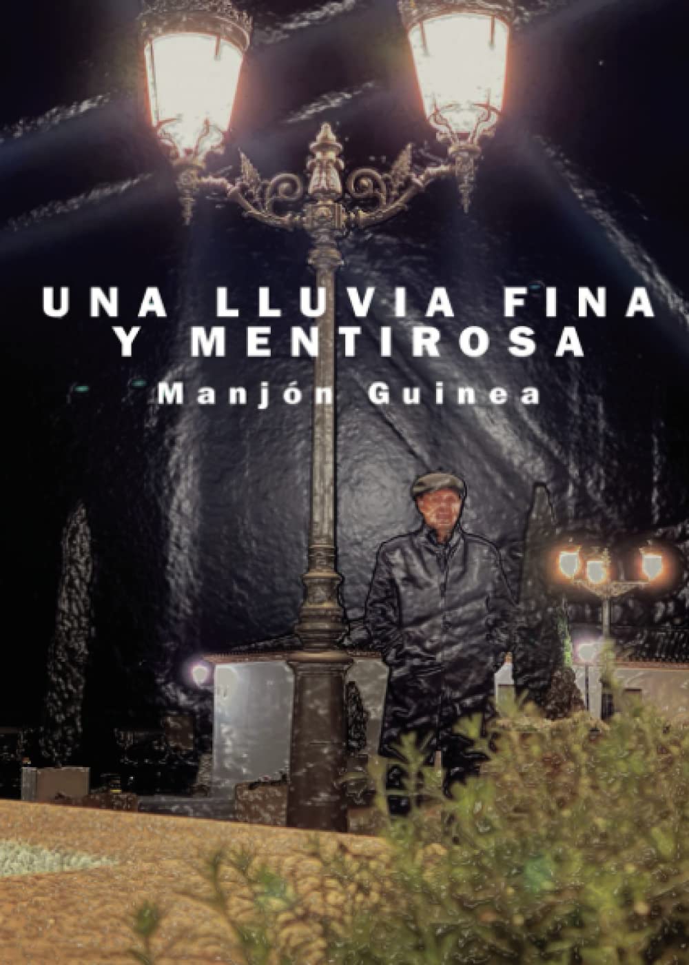 Una lluvia fina y mentirosa book