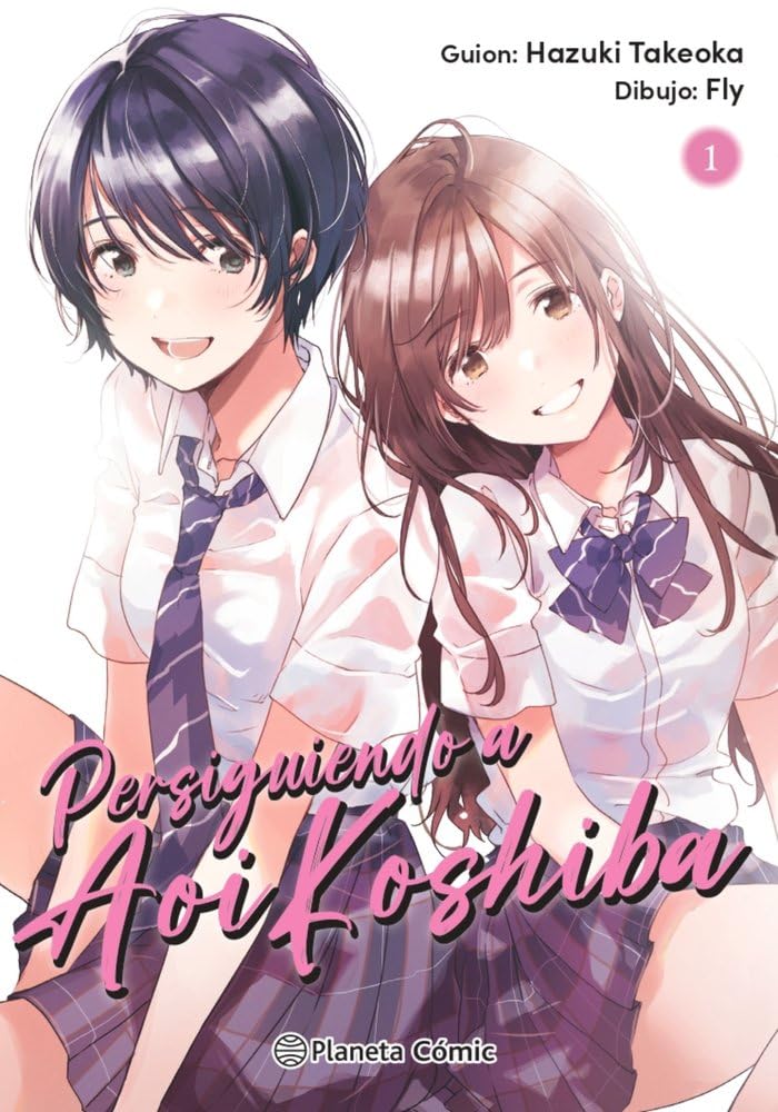 Persiguiendo a Aoi Koshiba nº 01/04 book