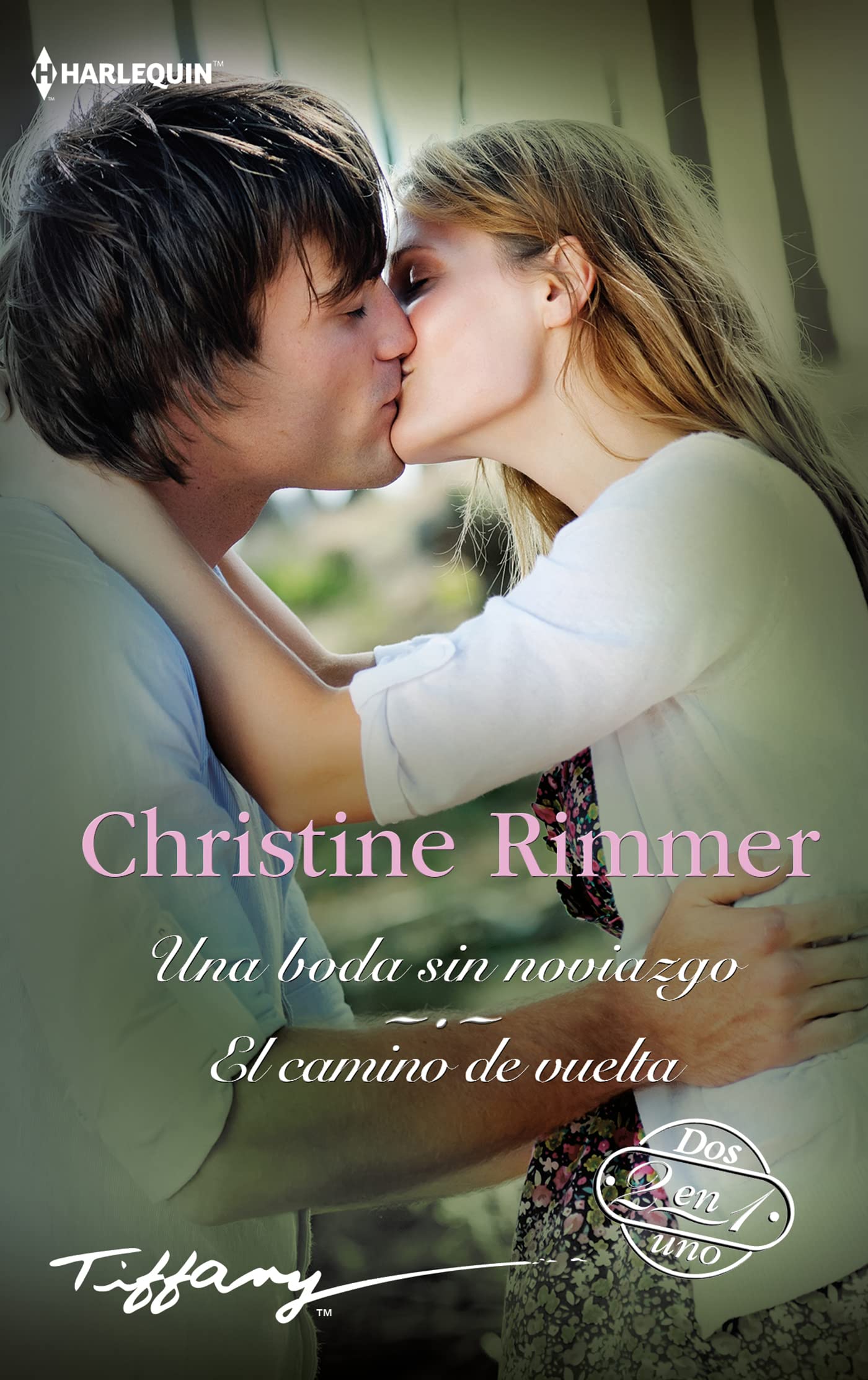 UNA BODA SIN NOVIAZGO book