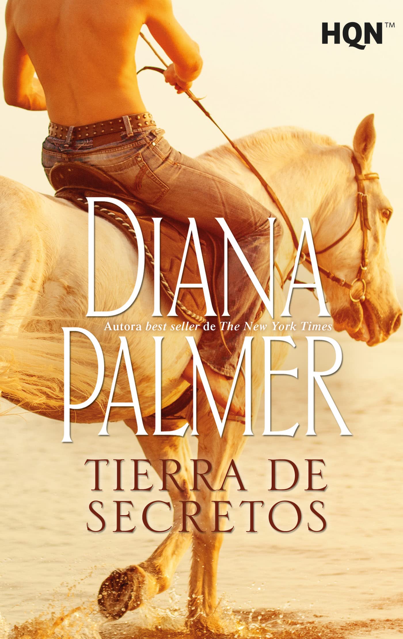 Tierra de secretos book