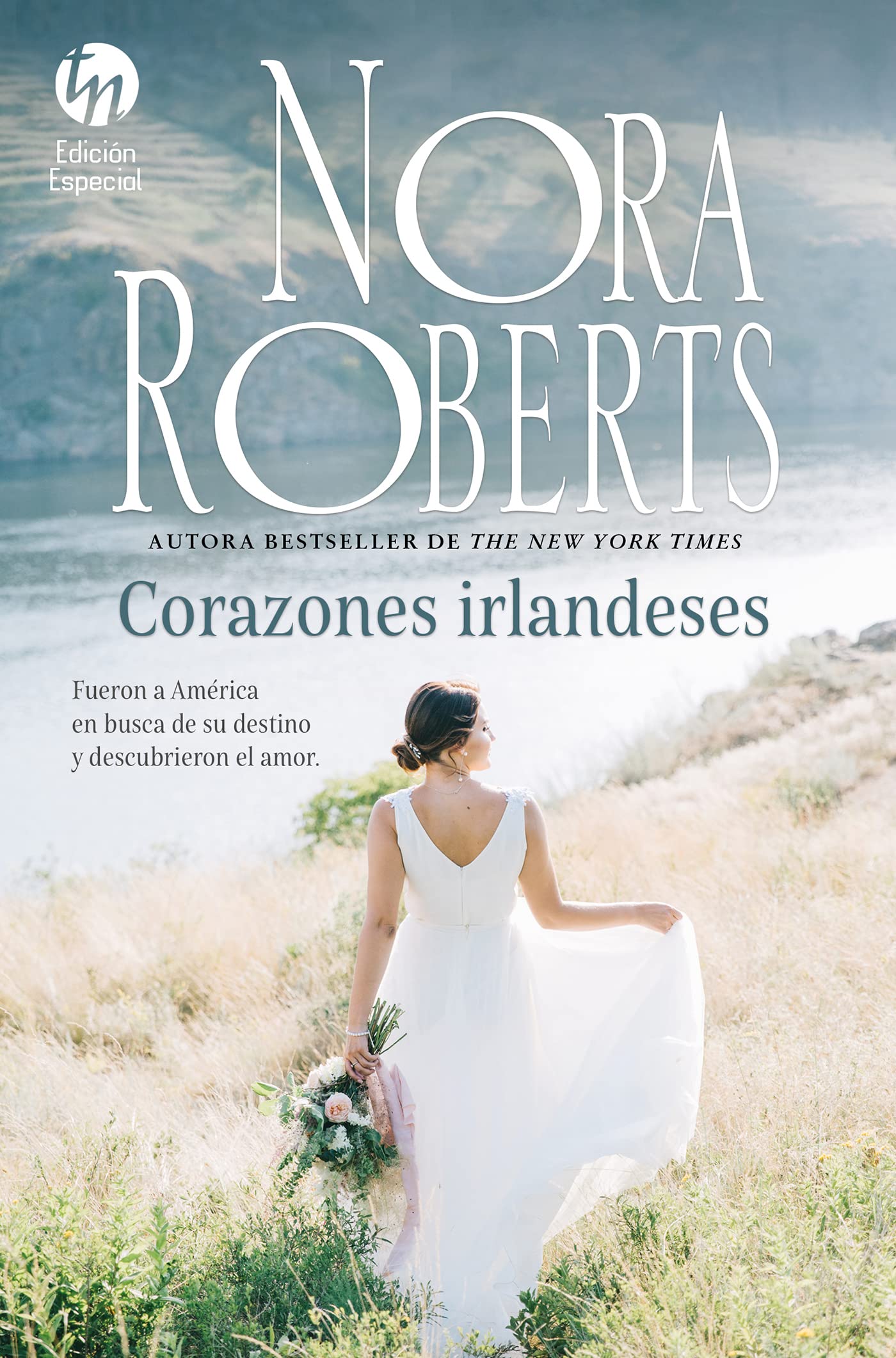 FUEGO IRLANDES * ( R ) (ESPECIAL TOP NOVEL, Band 17) Contemporary literature