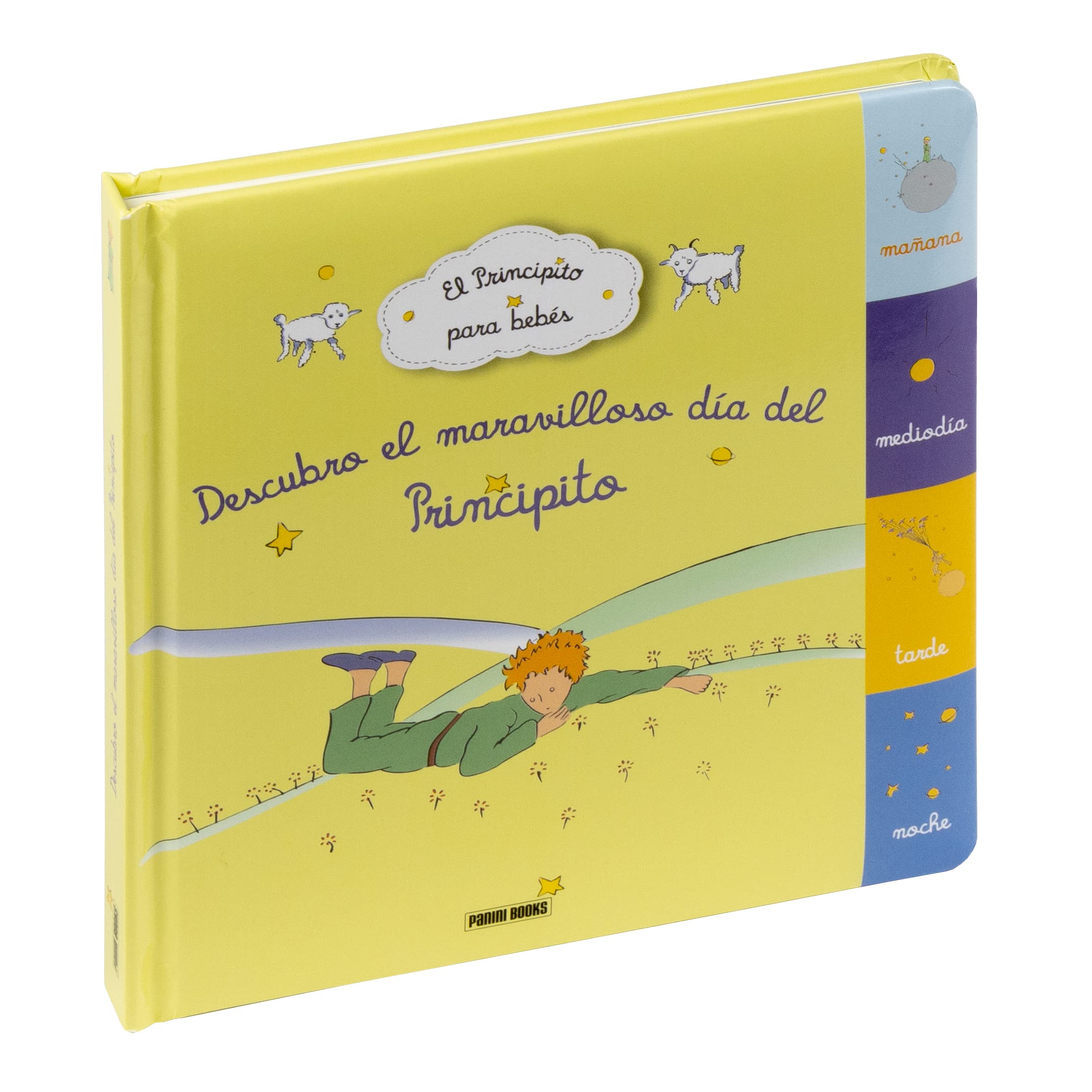 Descubro El Maravilloso Dia Del Principito book