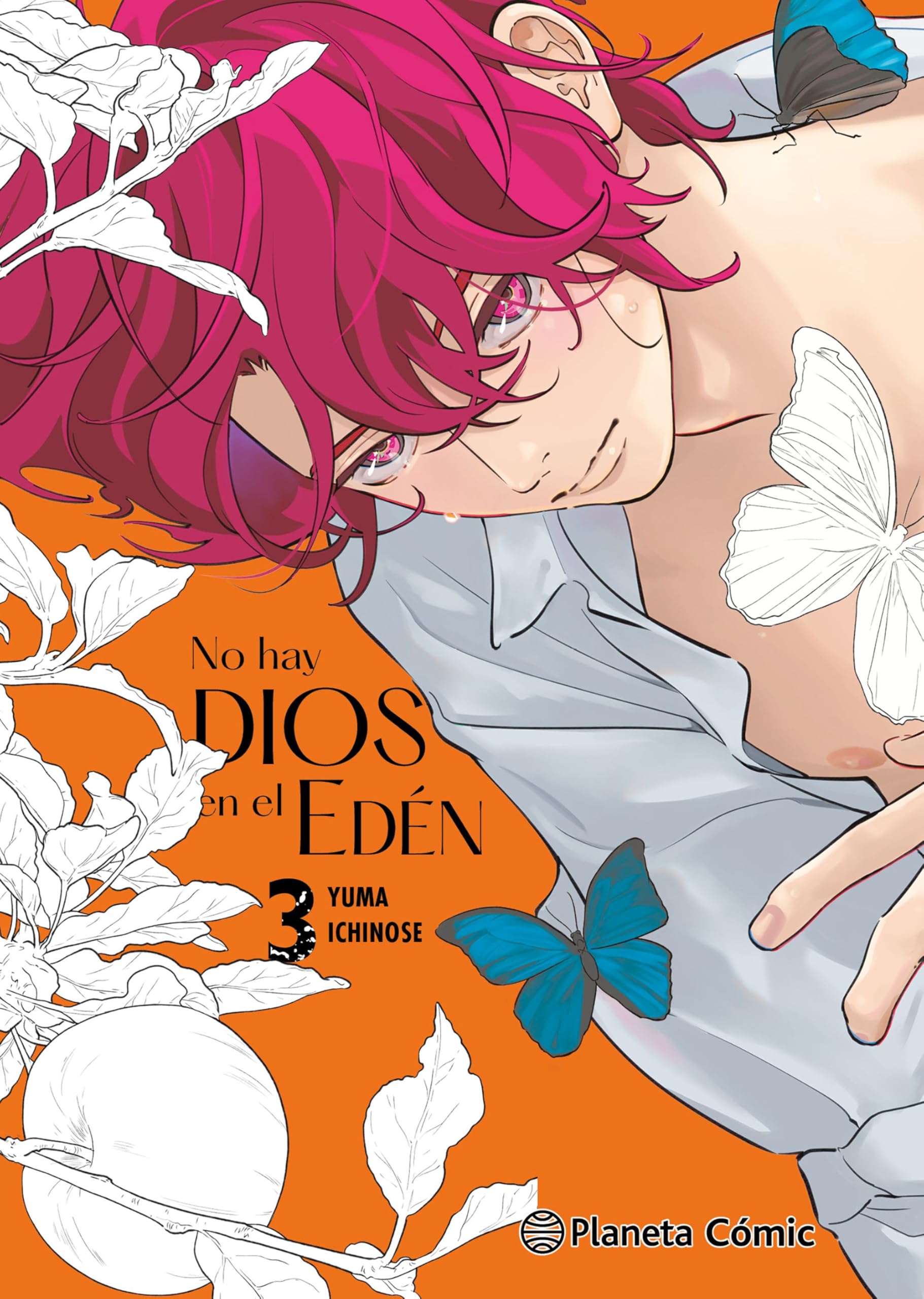 No hay Dios en el Edén nº 03 book