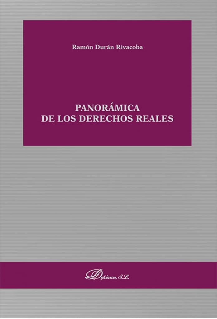 Panorámica de los derechos reales book