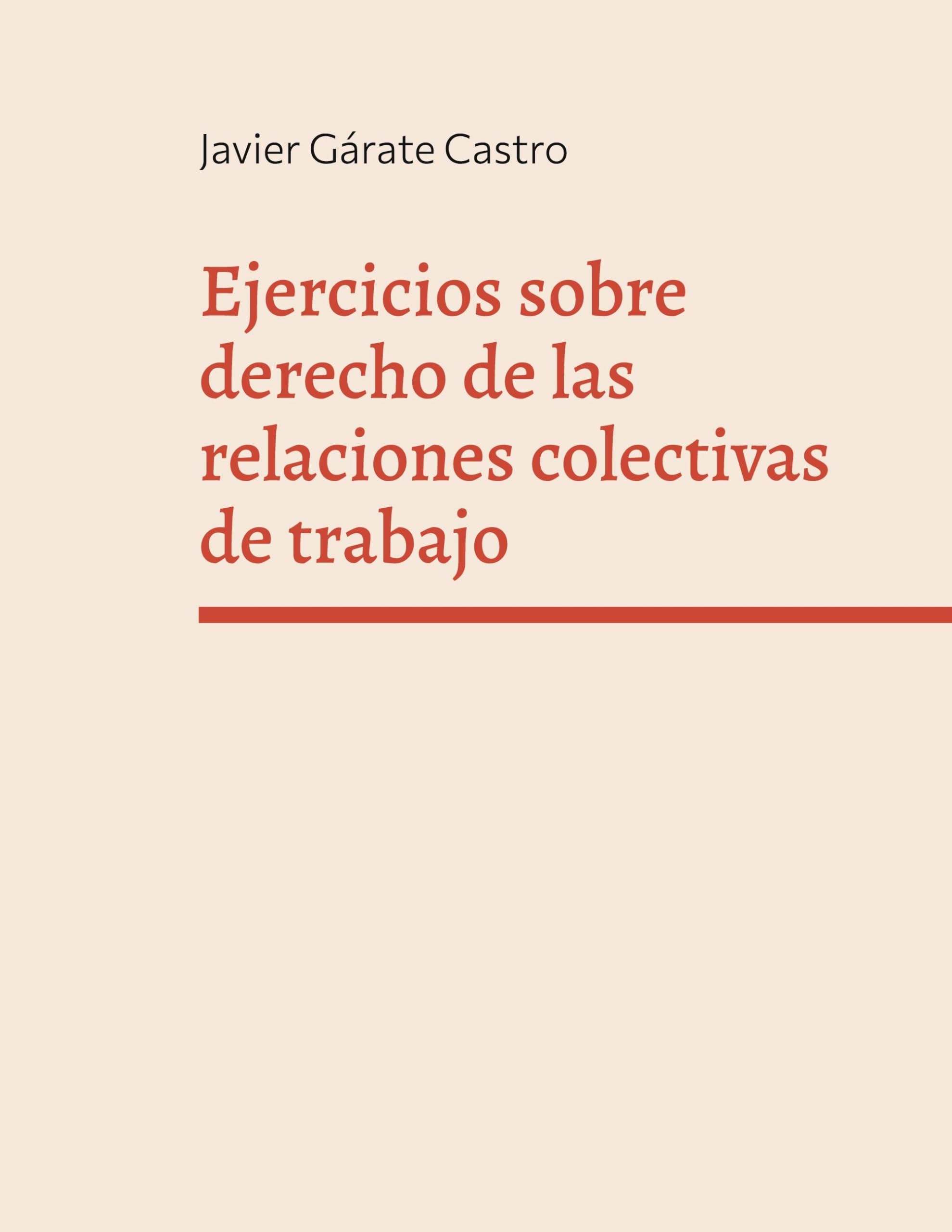Ejercicios sobre derecho de las relaciones colectivas de trabajo book