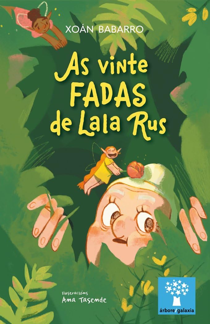 As vinte fadas de Lala Rus book