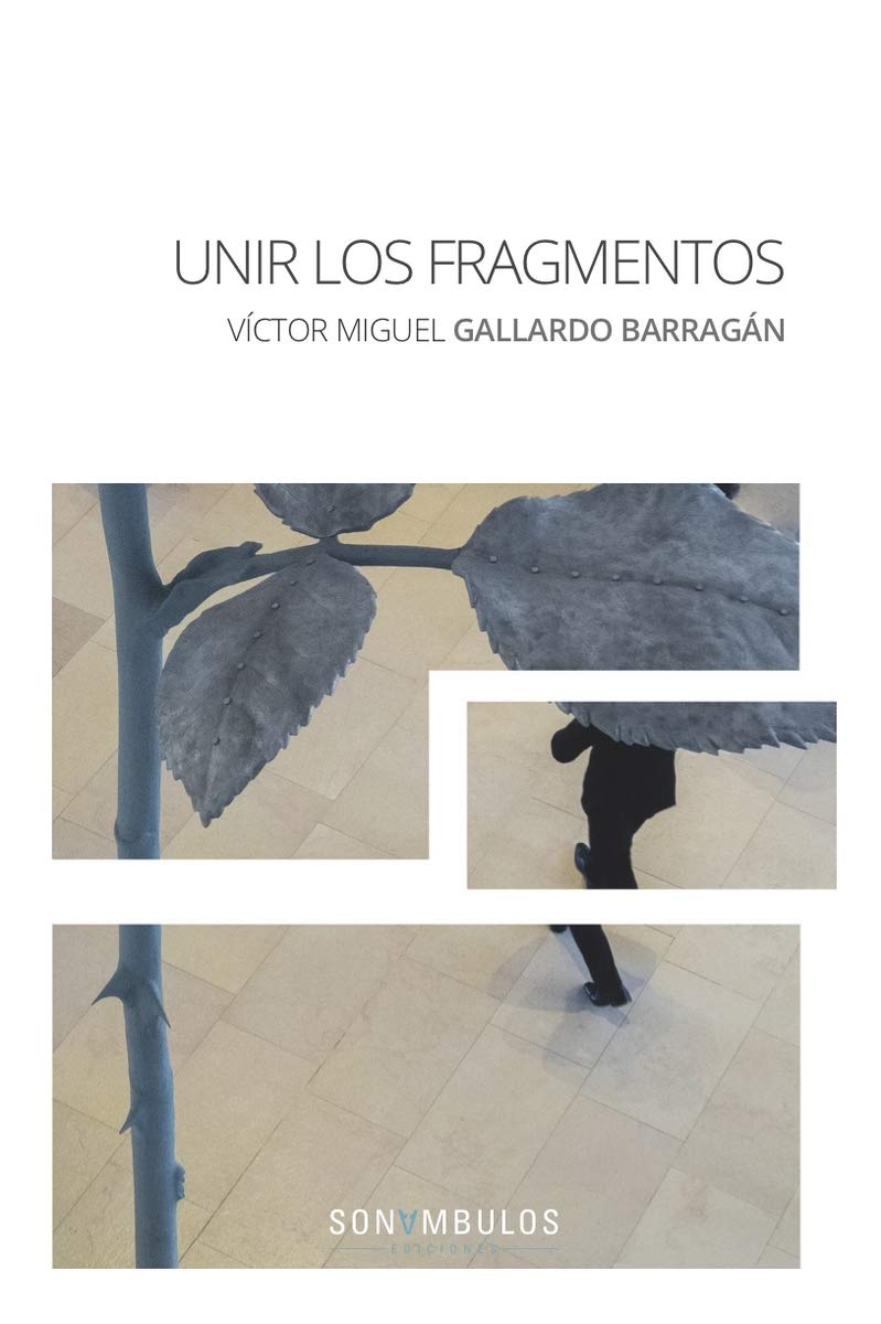 UNIR LOS FRAGMENTOS (MACASAR, Band 10) Books