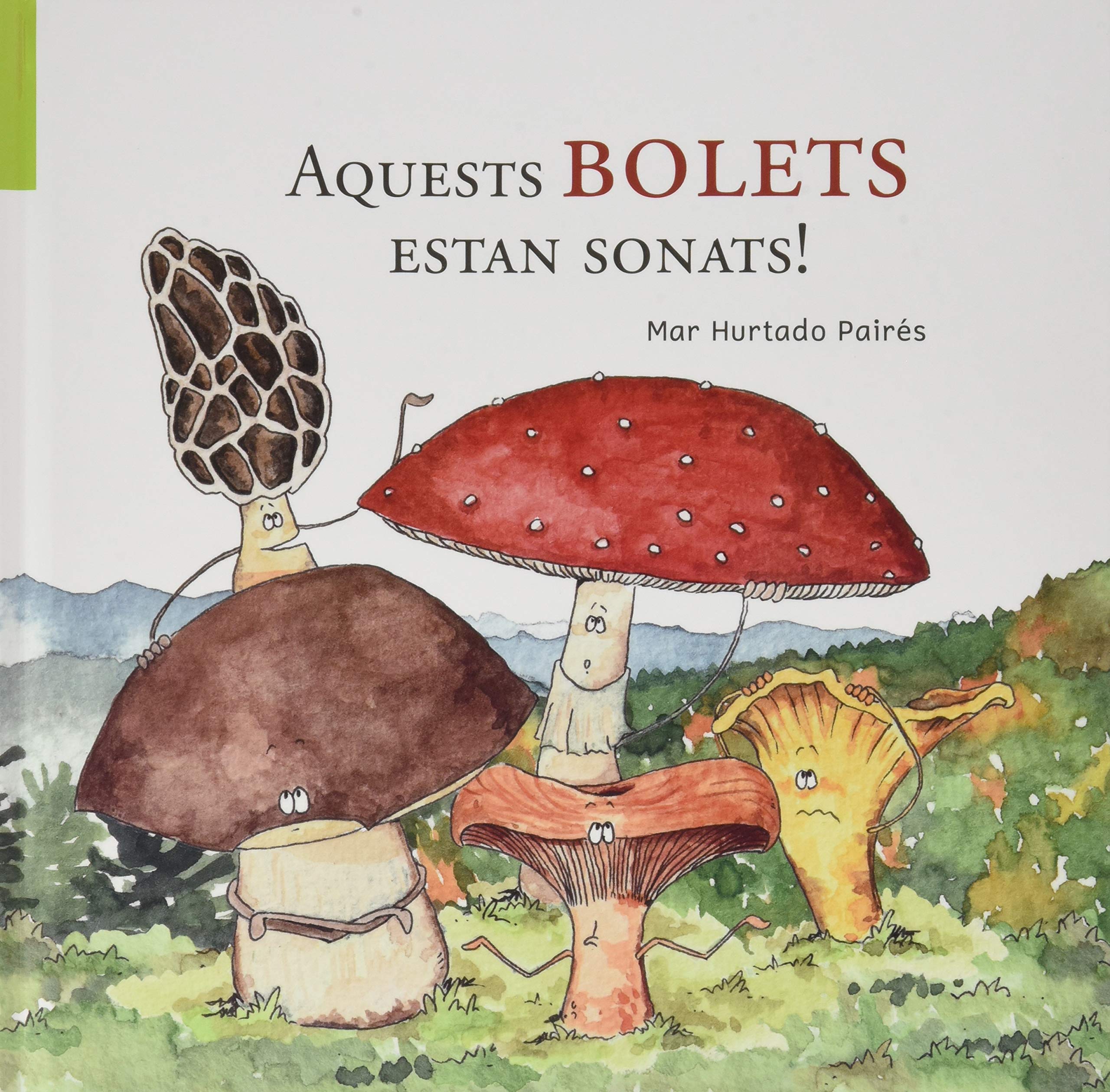 Aquest bolets estan sonats! book