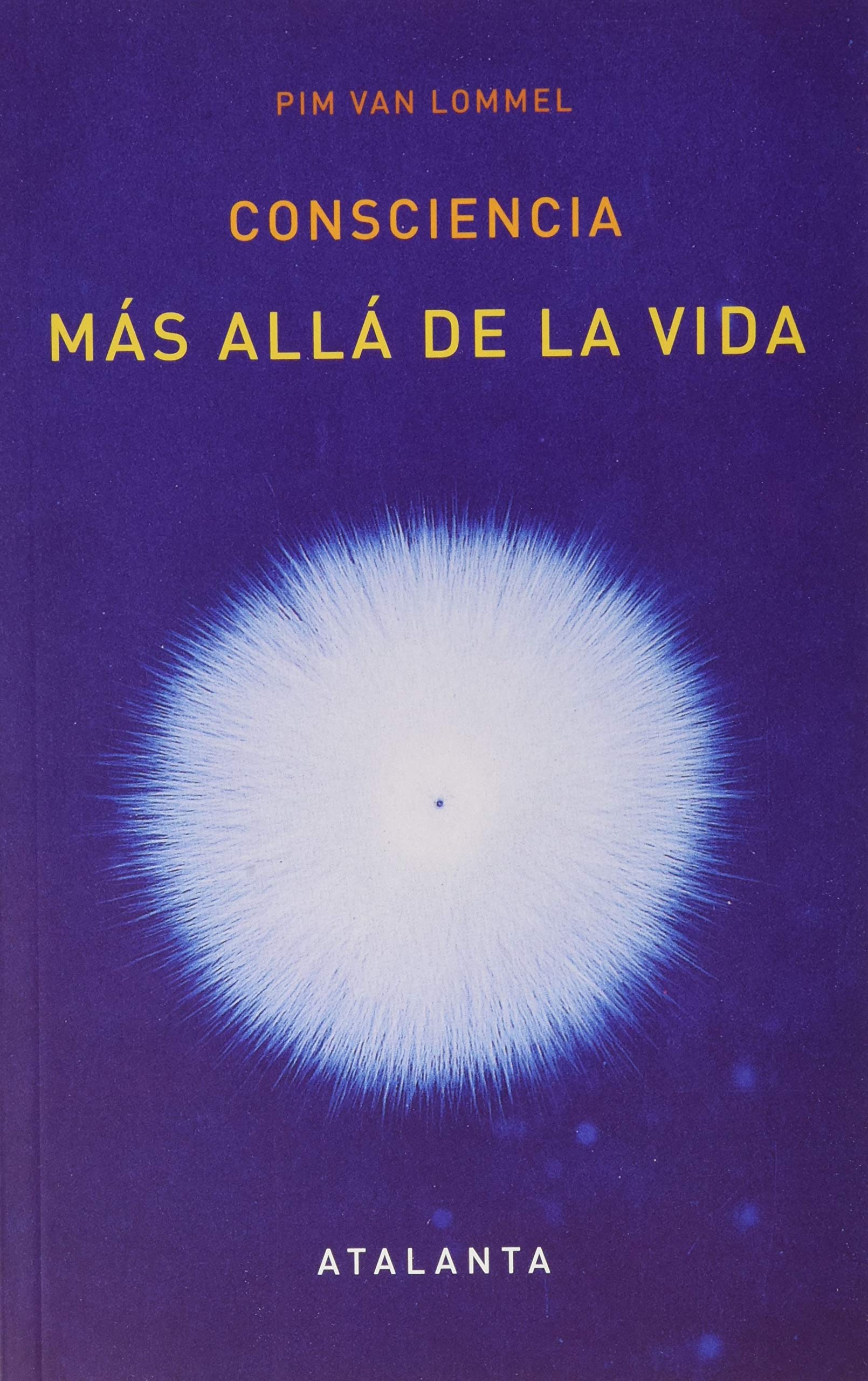 Consciencia más allá de la vida (Atalanta bolsillo, Band 64) Business, Finance & Career