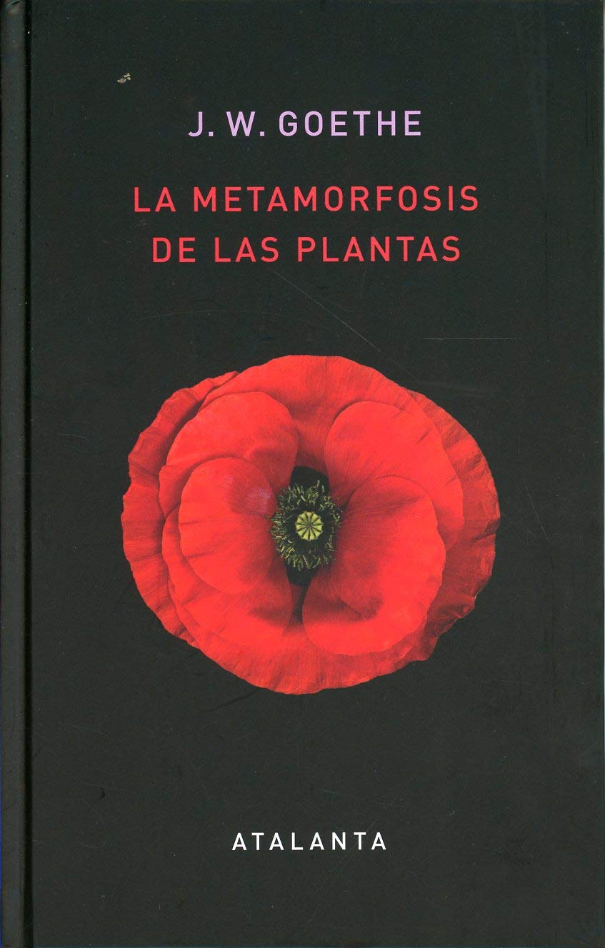 La metamorfosis de las plantas Mathematics