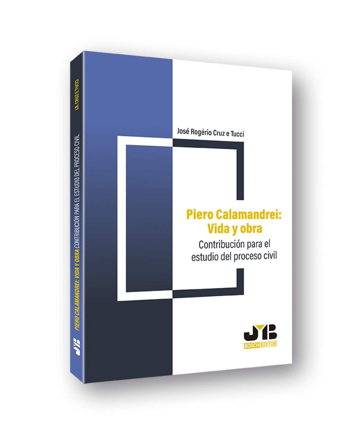 Piero Calamandrei: vida y obra: Contribución para el estudio del proceso civil Law
