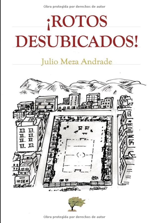 ¡Rotos desubicados! Contemporary literature