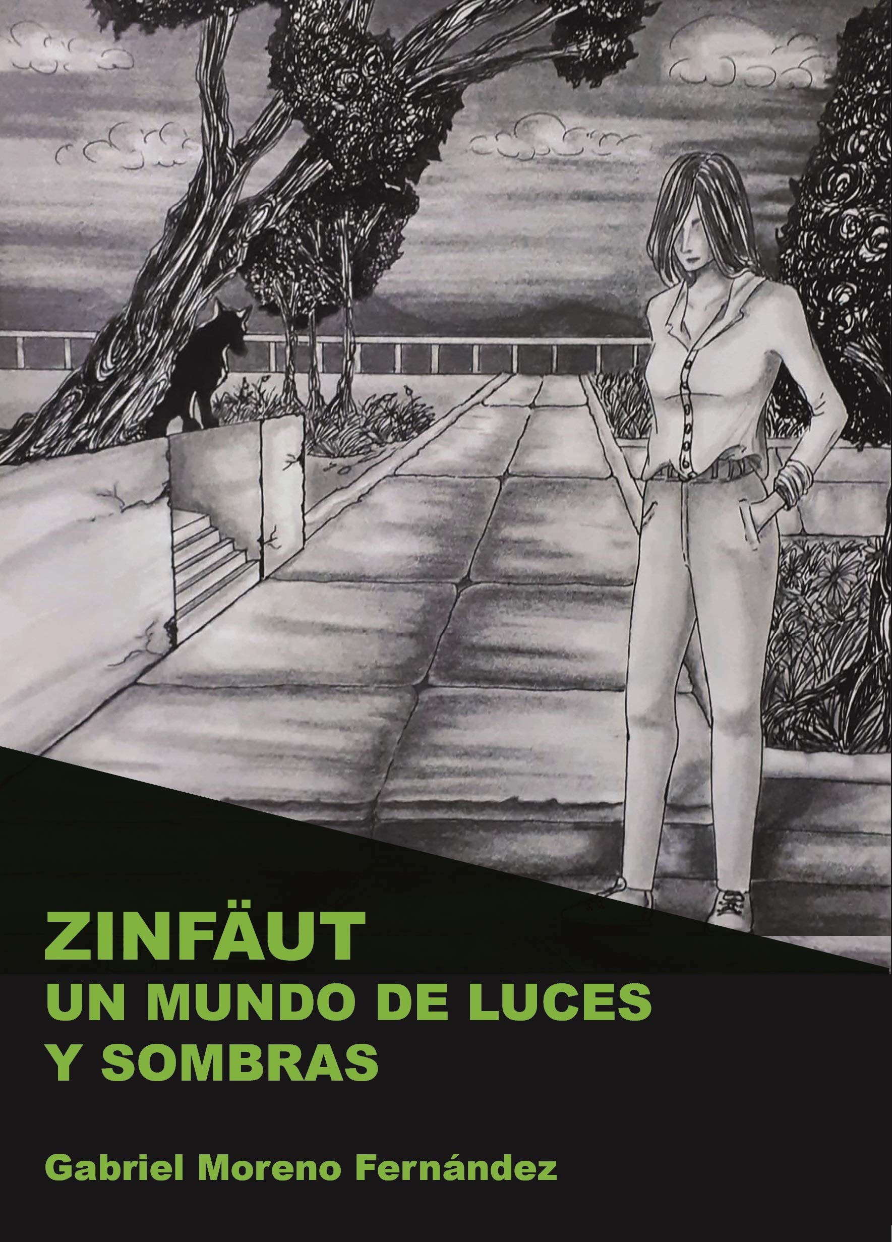 Zinfäut. Un mundo de luces y sombras Books