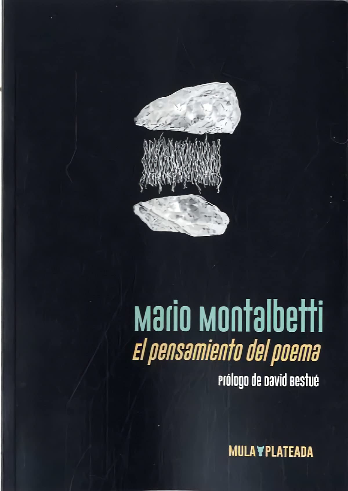 El pensamiento del poema (Mula Plateada, Band 5) Books