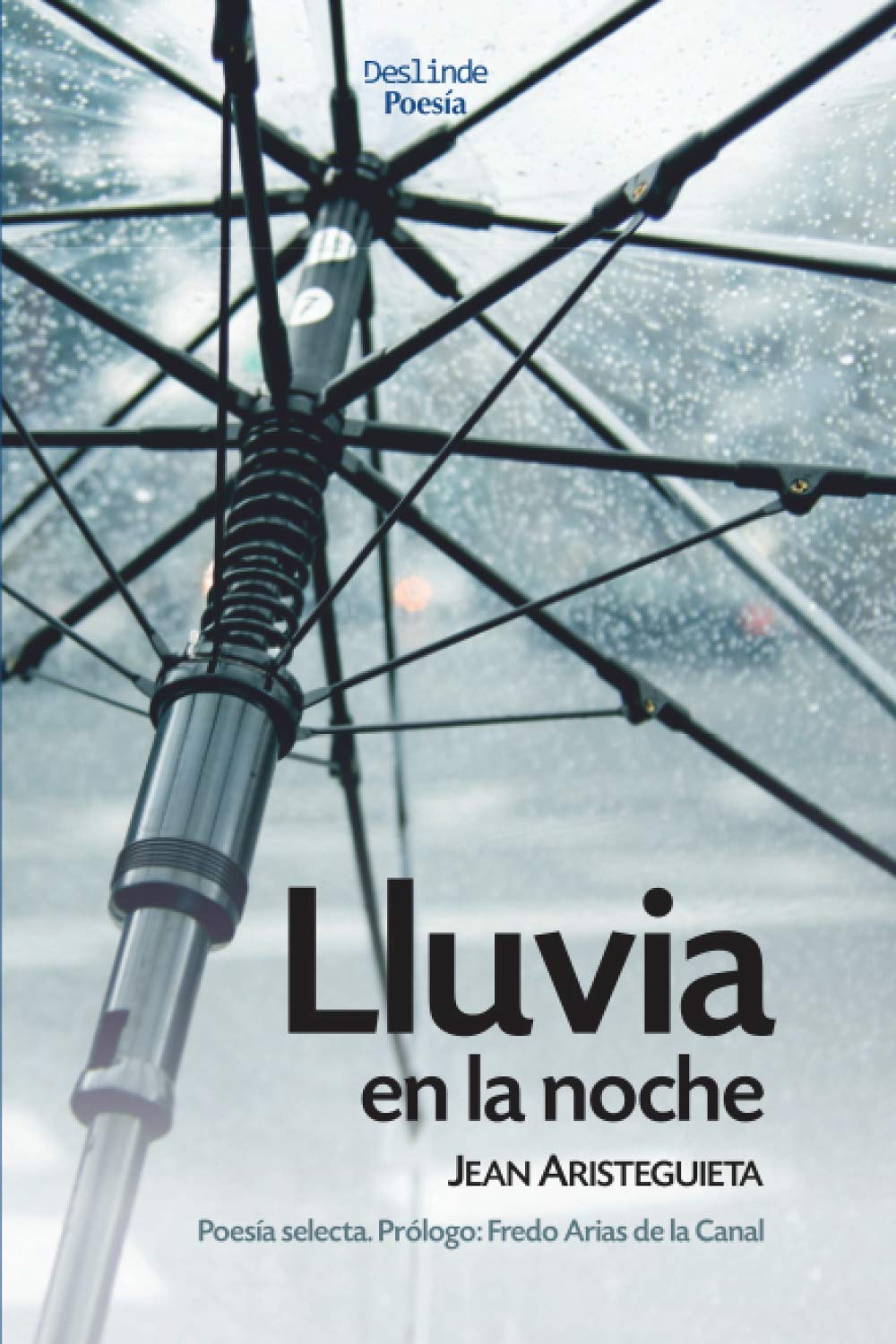 Lluvia en la noche: Poesía selecta Poetry