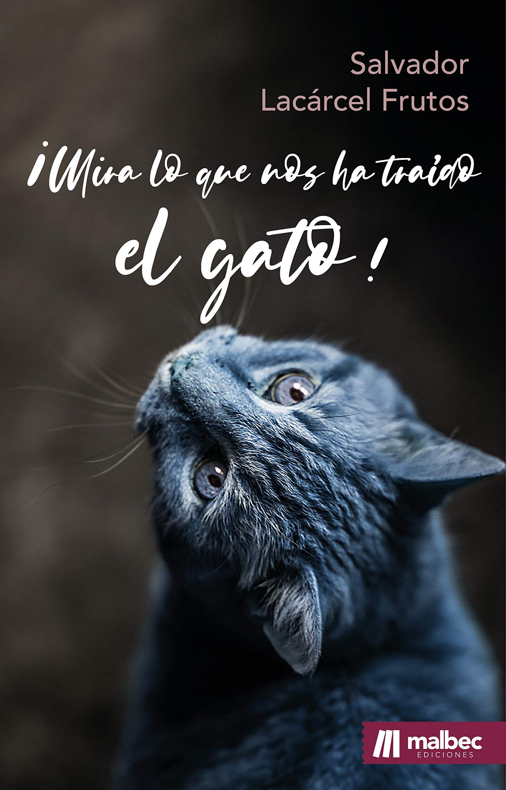 ¡Mira lo que nos ha traído el gato! book