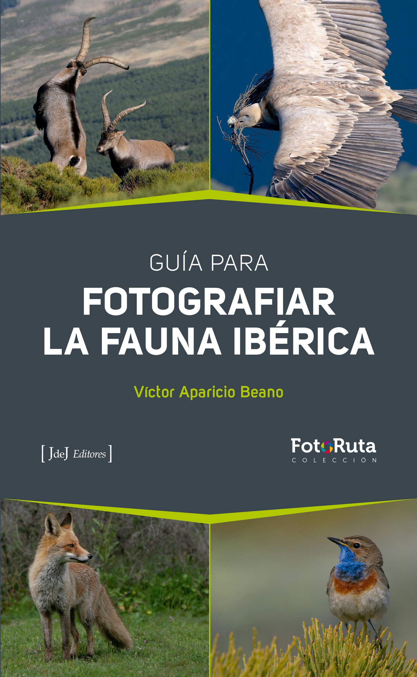Guía para fotografiar la Fauna Ibérica (FotoRuta, Band 38) Photography