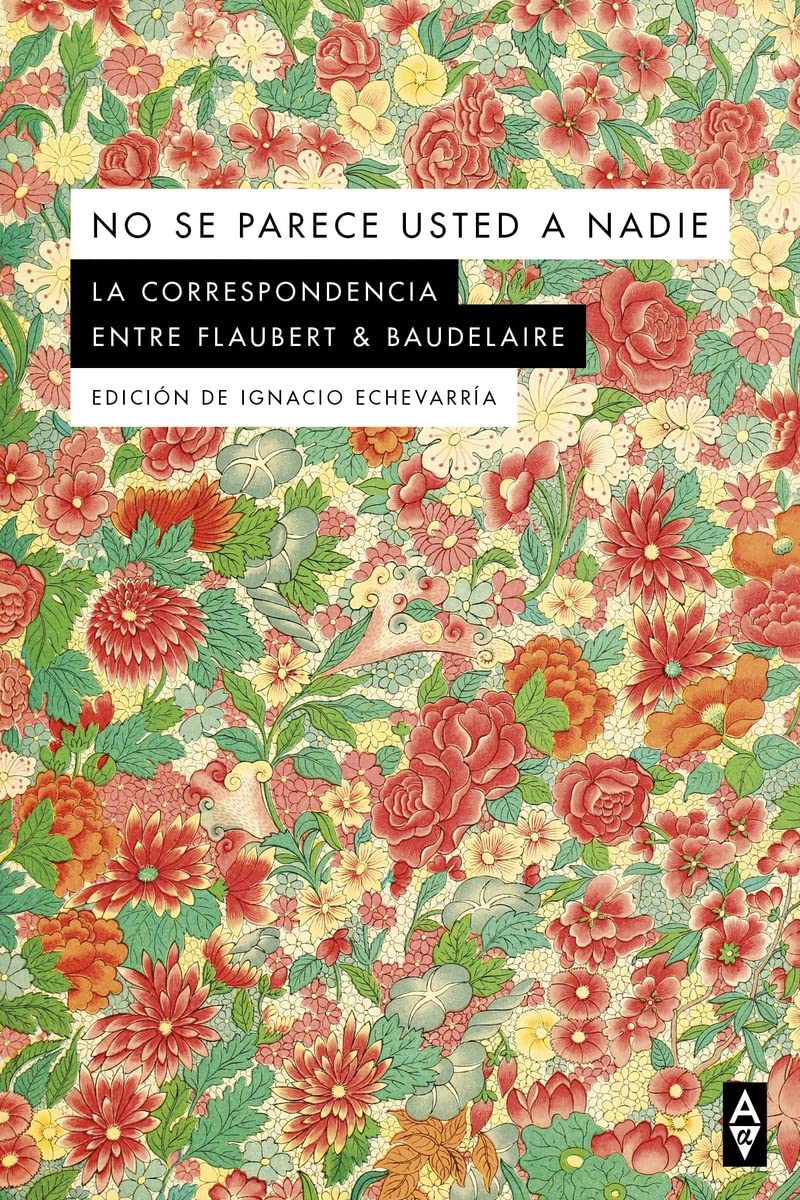 NO SE PARECE USTED A NADIE book