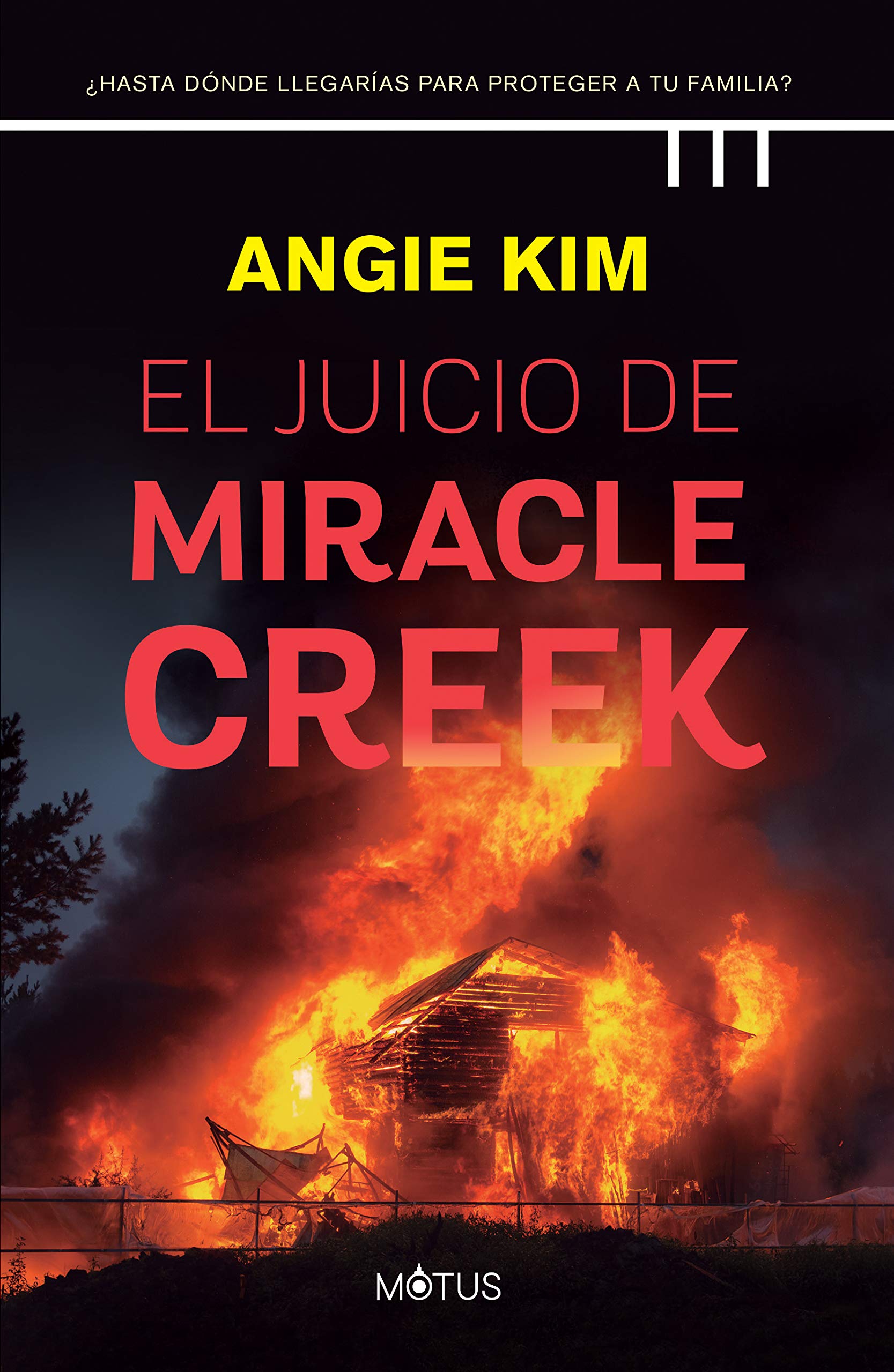 El juicio de Miracle Creek: ¿Hasta dónde llegarías para no ir a la cárcel? book