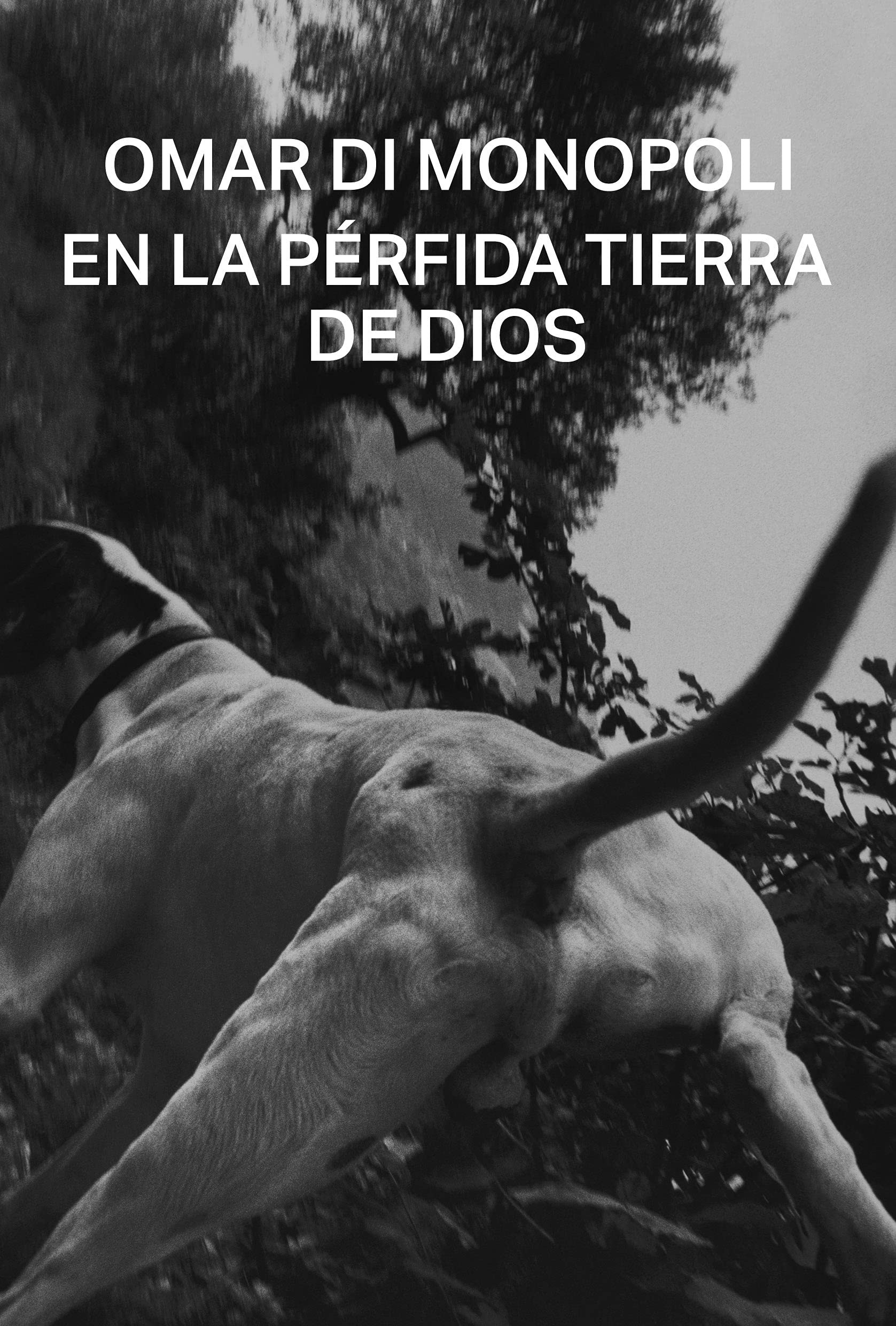 En la pérfida tierra de Dios book