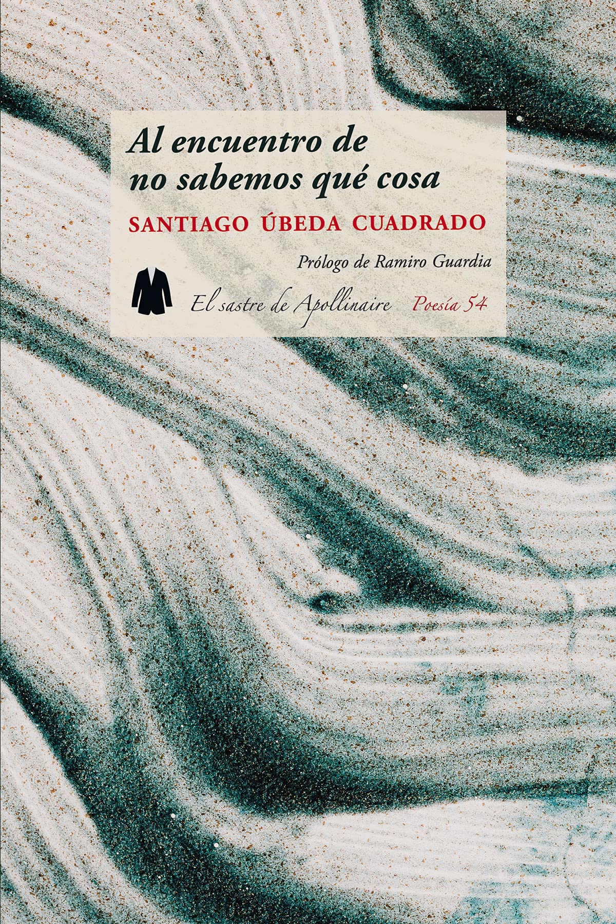 Al encuentro de no sabemos qué cosa (Poesía, Band 54) Poetry